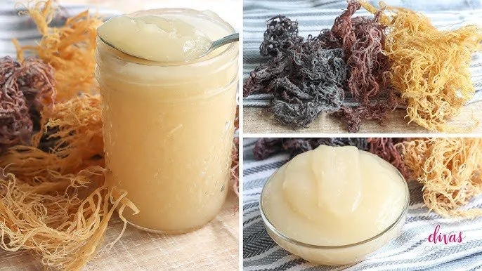 16oz Sea Moss Gel