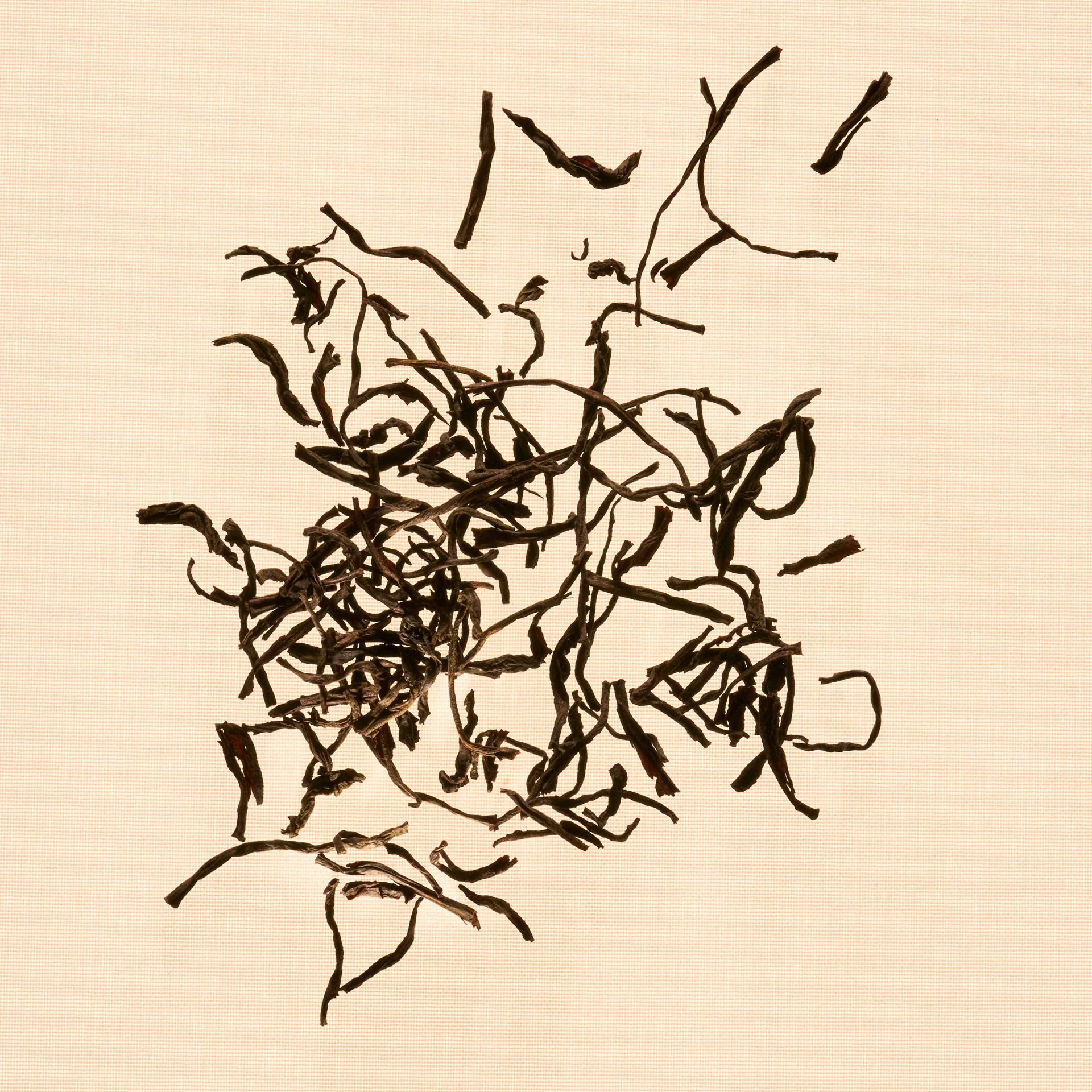 Roja_Serenity-Blend_Ingredient_Black-Tea_1x1.jpg