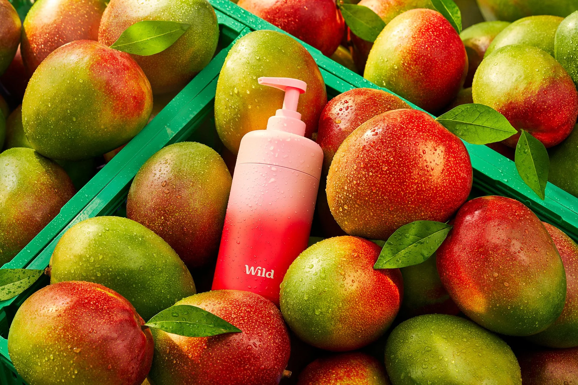 Pink and red ombre shower gel bottle, nessled inbetween fresh mangoes.