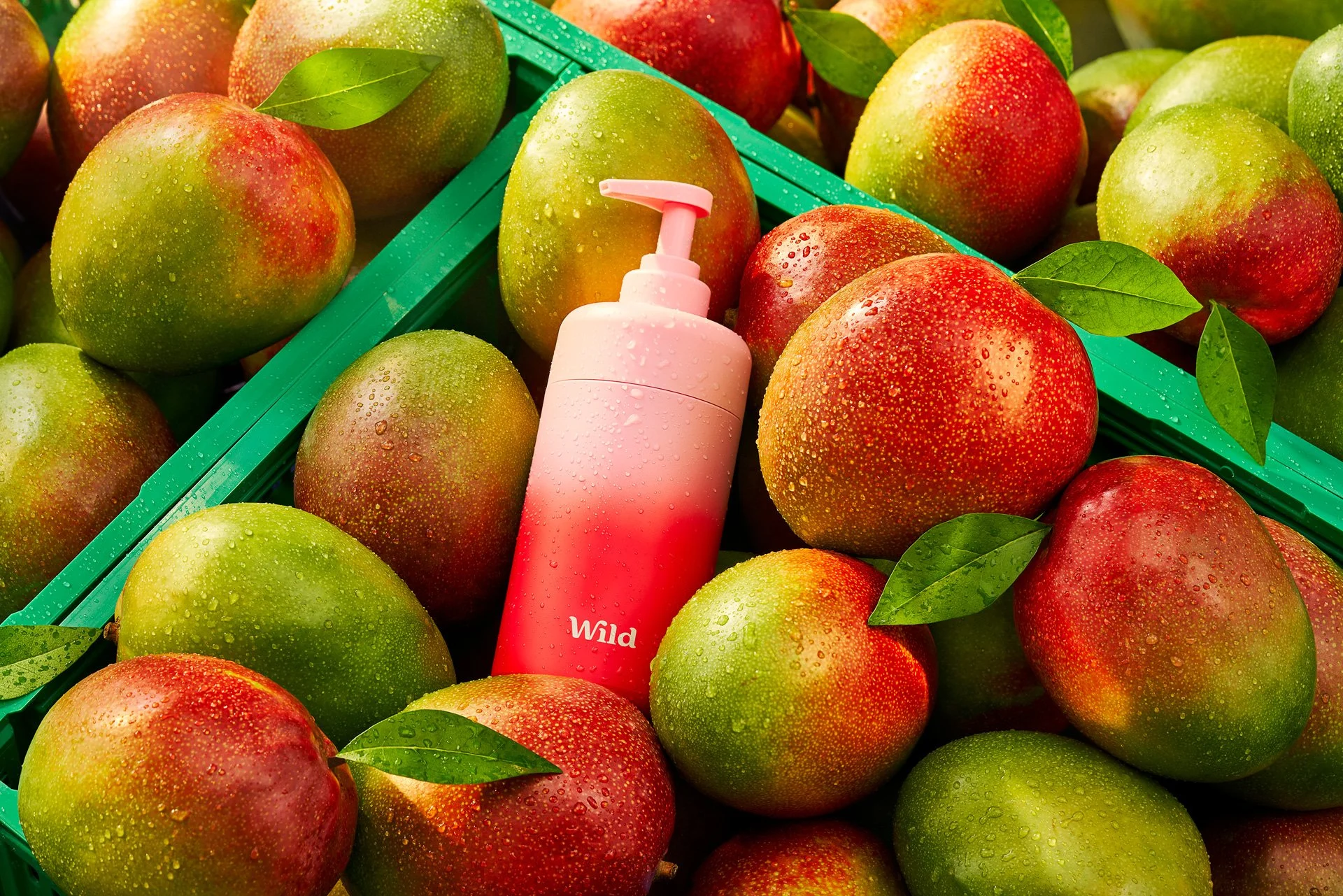 Wild red and pink ombre shower gel bottle, nestled in market crates filled with mangoes. Soft, sunshine beaming across.