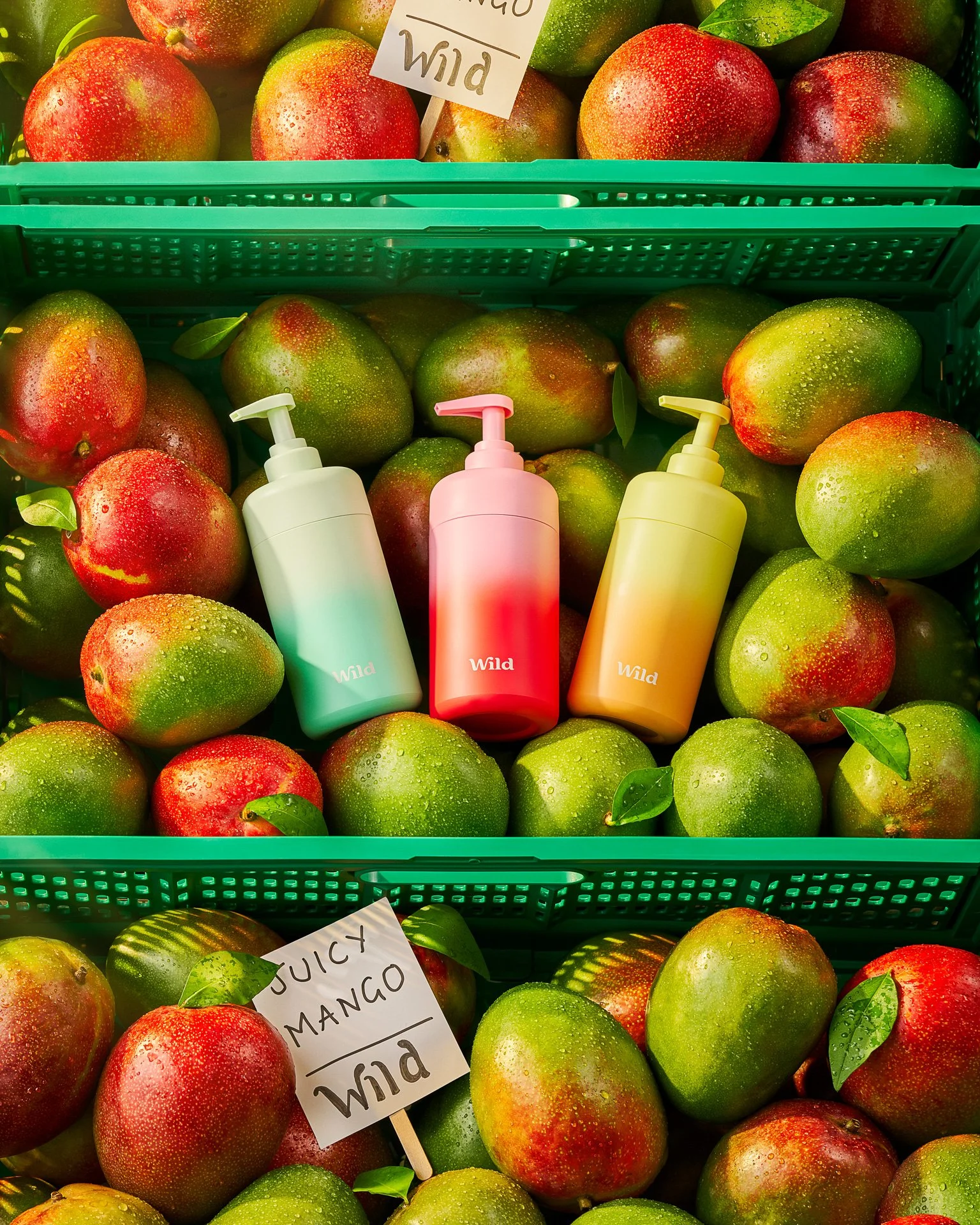 Wild ombre shower gel bottles, nestled in market crates filled with mangoes. Soft, sunshine beaming across.