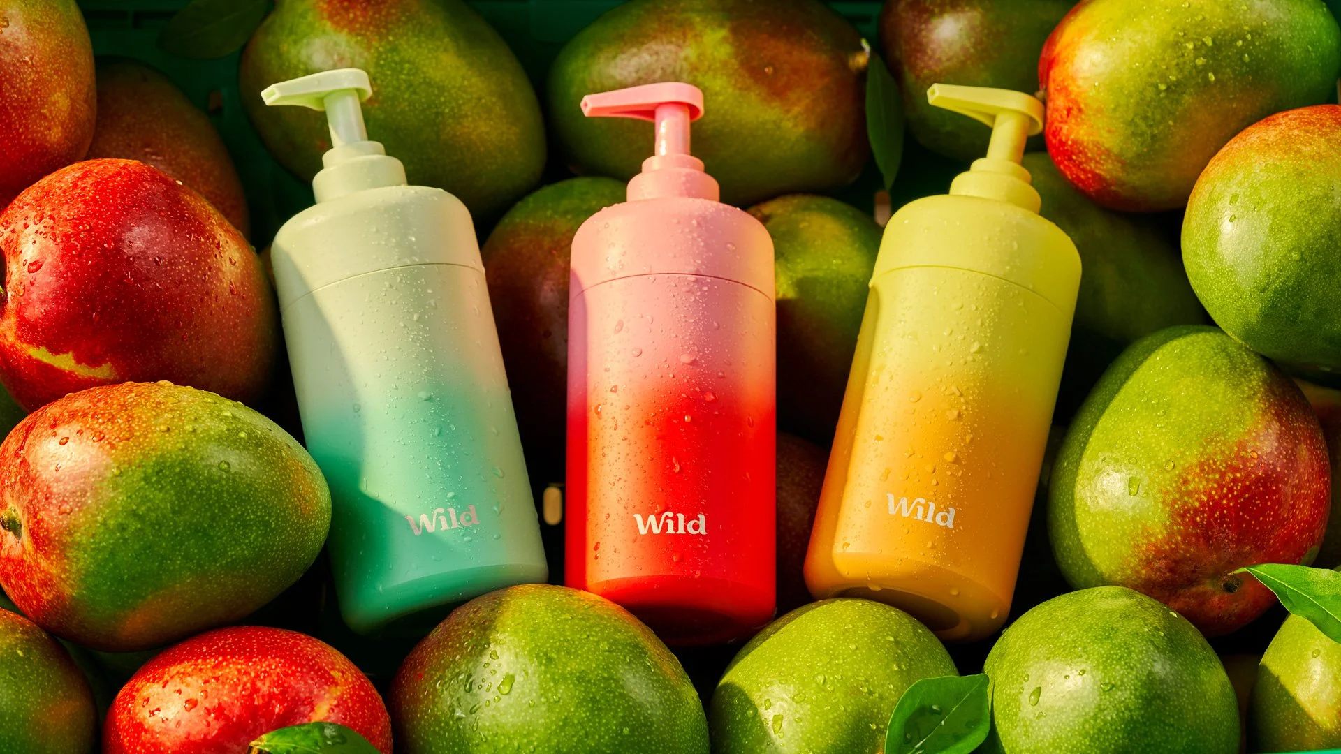 Three ombre shower gel bottles sitting on top of mangoes with sunlight beaming across.