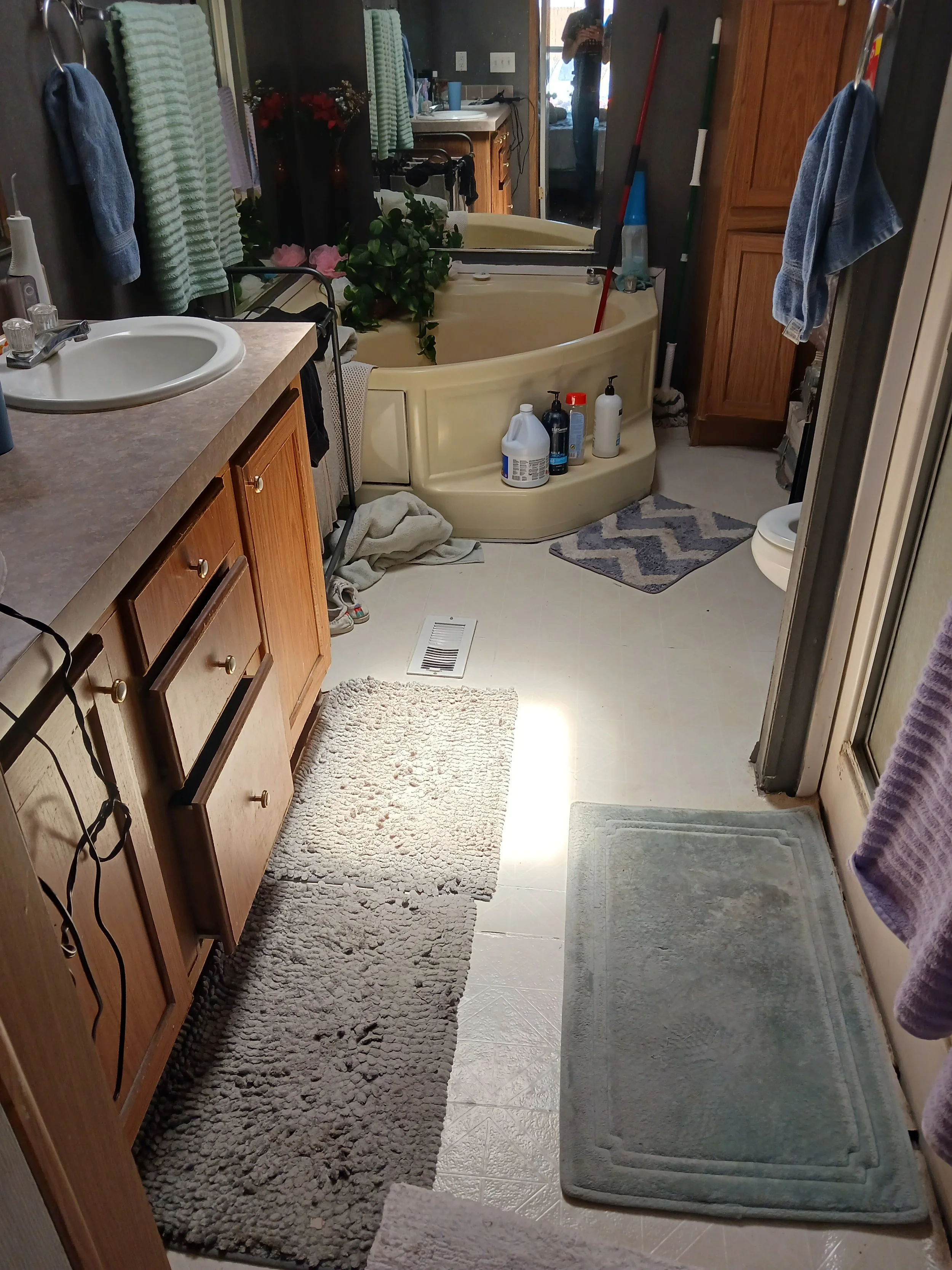 Bathroom before.jpg