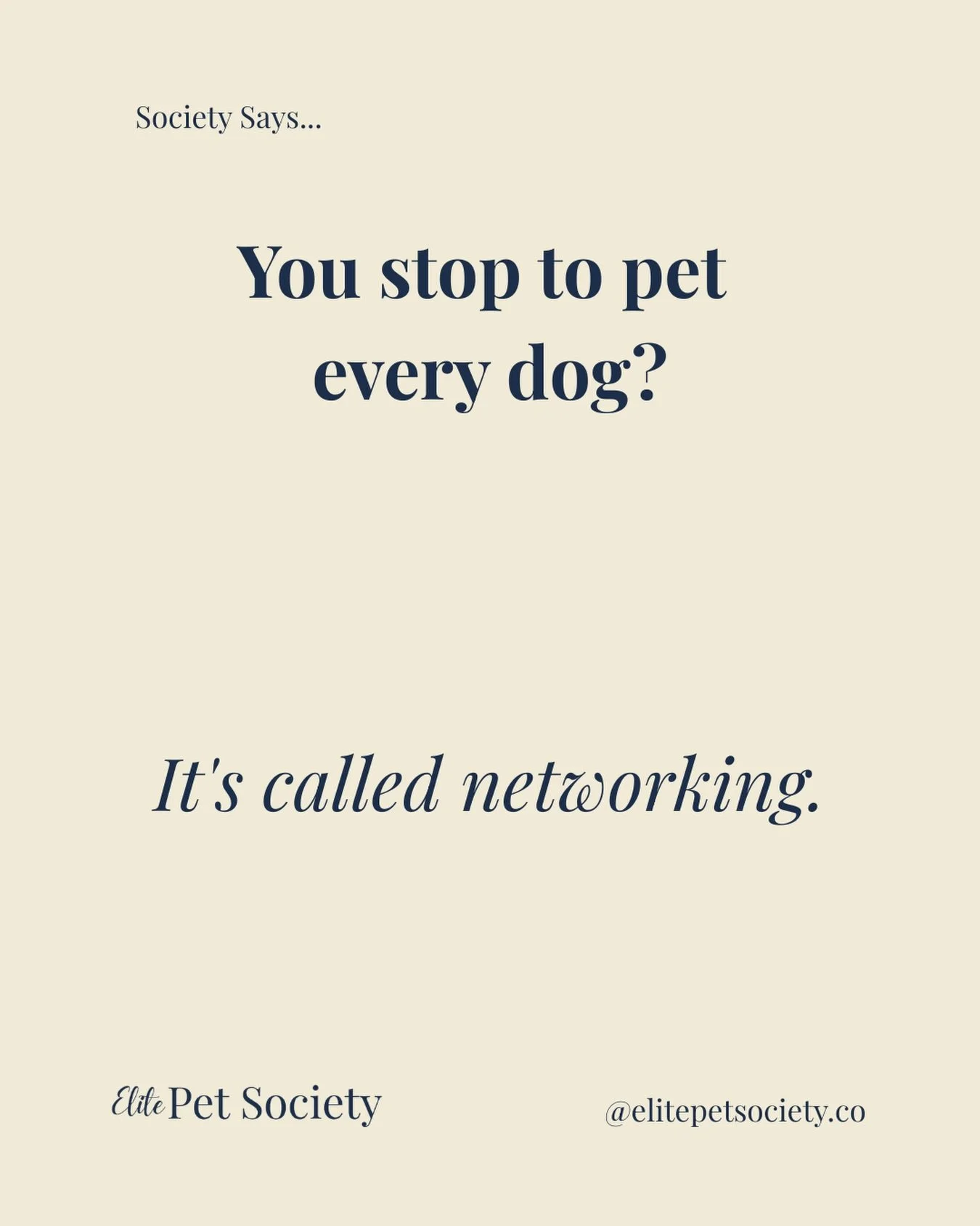 Some people cross the street to avoid dogs.
We cross the street to meet them. 🤍

Premium, personalized care for pets who deserve the best. Follow 👉🏻 @elitepetsociety 🐾🤍

#ElitePetSociety #SarasotaDogs #DogWalkerSarasota #PetParentLife #DogLovers