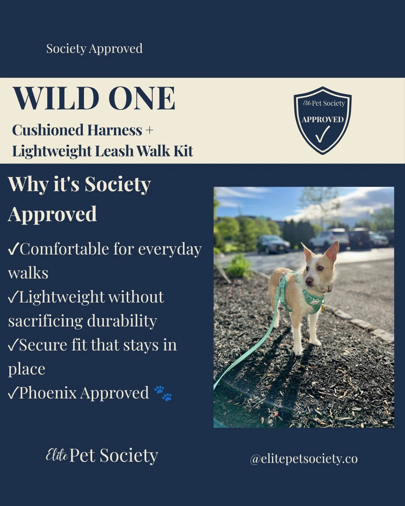Not every product earns our recommendation&mdash;but this one has.

We&rsquo;ve been using the @wildone Cushioned Harness + Lightweight Leash with @itssirphoenix and have been consistently impressed by its quality, thoughtful design, and everyday per