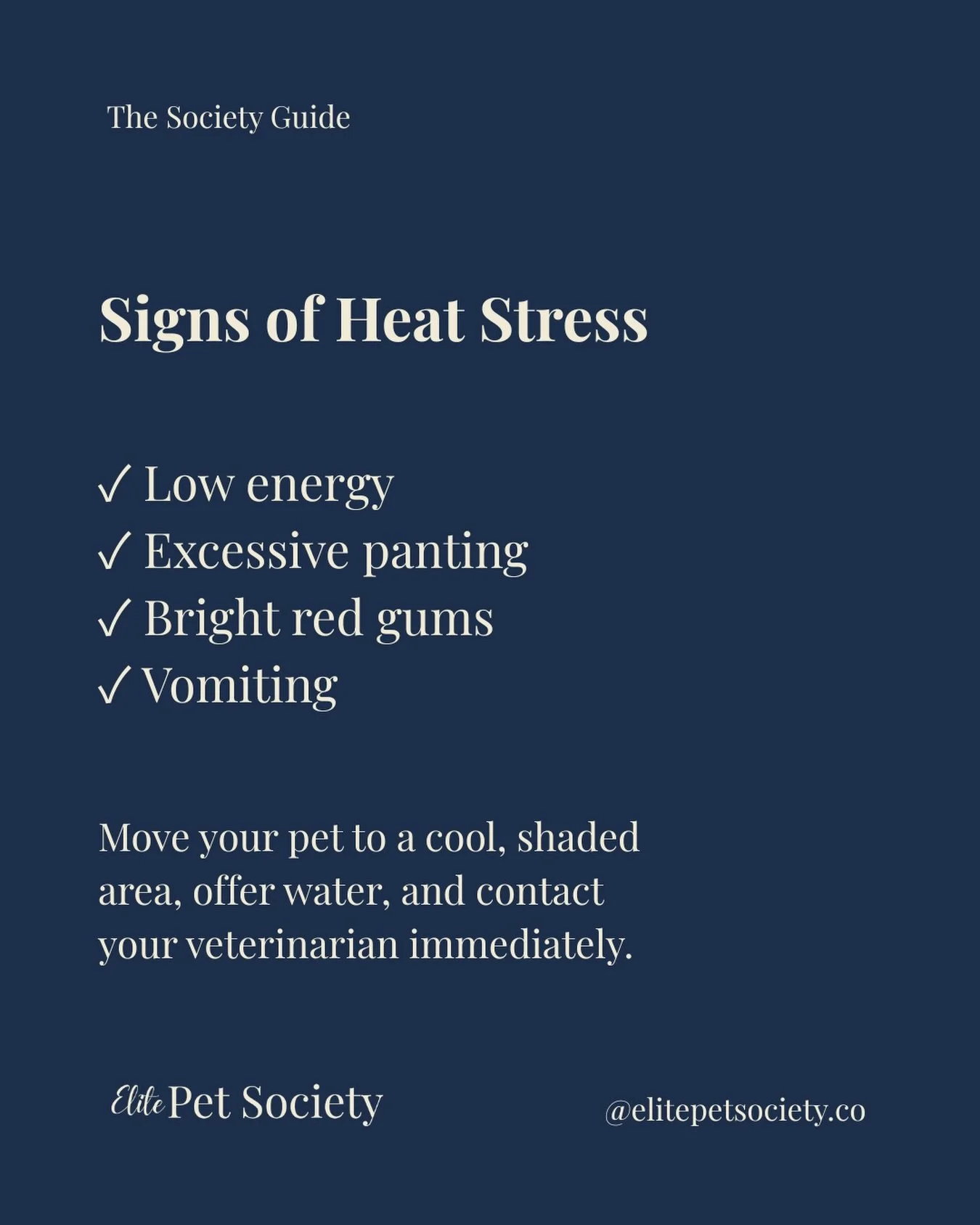 The Society Guide 🐾

Knowing the signs of heat stress can help you act quickly when your pet needs you most.

Watch for symptoms like low energy, excessive panting, bright red gums, or vomiting. If you notice these signs, move your pet to a cool, sh