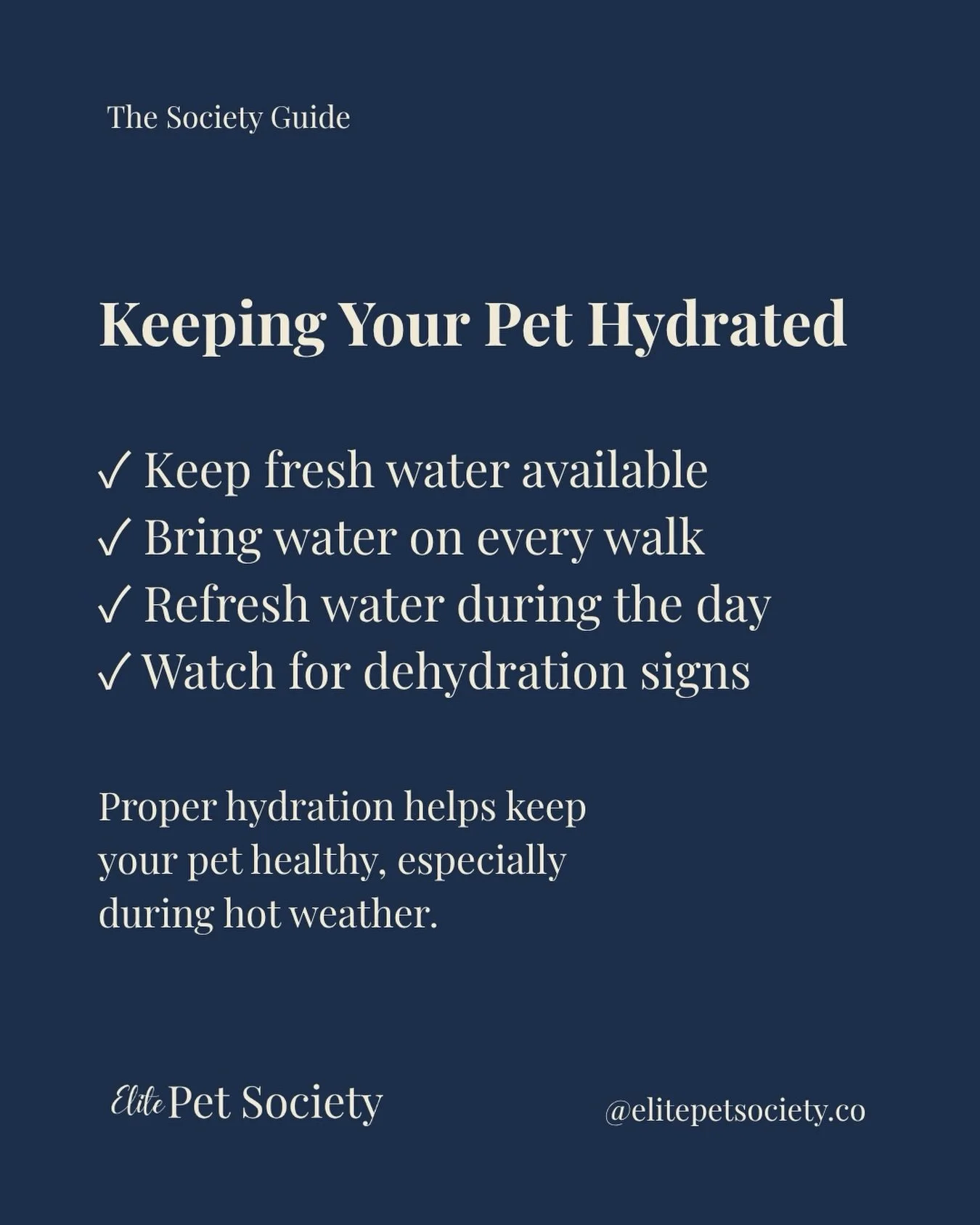 The Society Guide 🐾

Staying hydrated isn&rsquo;t just important during the summer! 💧☀️ 

Even as temperatures begin to cool, Florida&rsquo;s warm weather makes hydration an important part of your pet&rsquo;s daily routine.

Whether you&rsquo;re he
