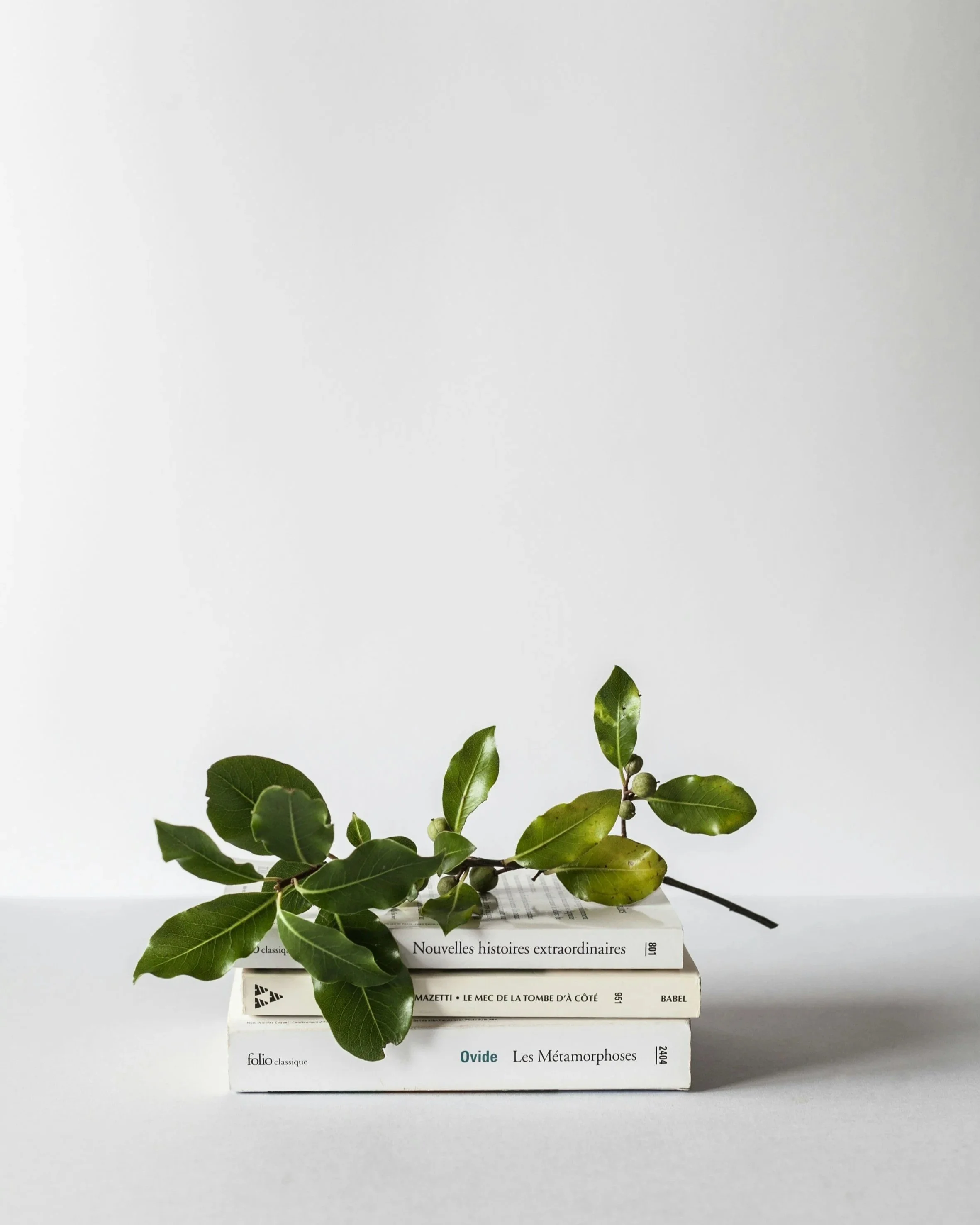 Green leafy branch lying on top of a stack of white books with black text, against a plain gray background.