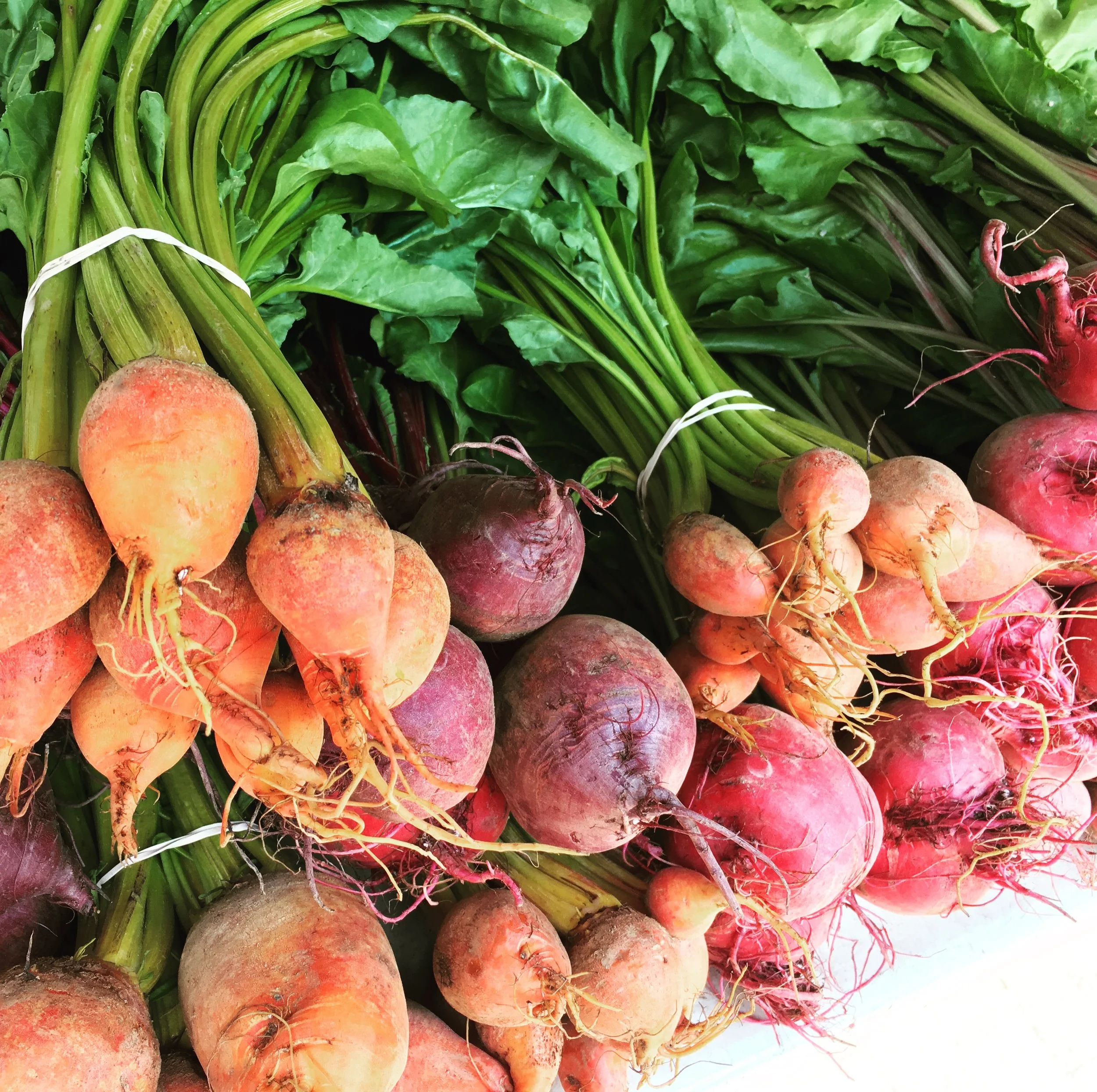 Journal Prompt: Concentration