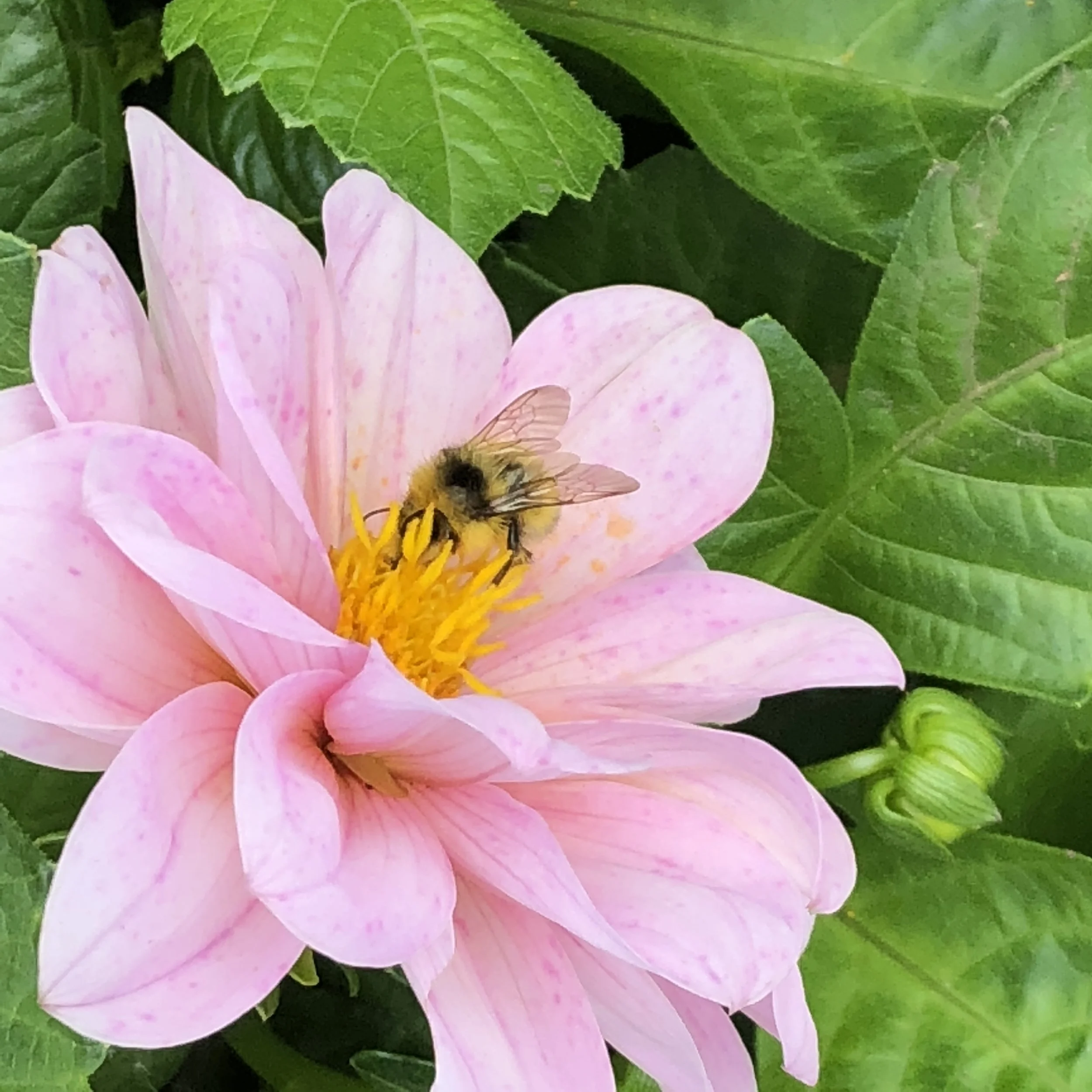Embracing the Sacred Feminine