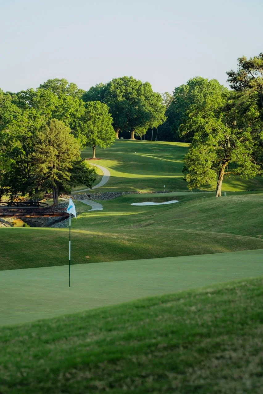 DSC02119-2 2 Large.jpeg