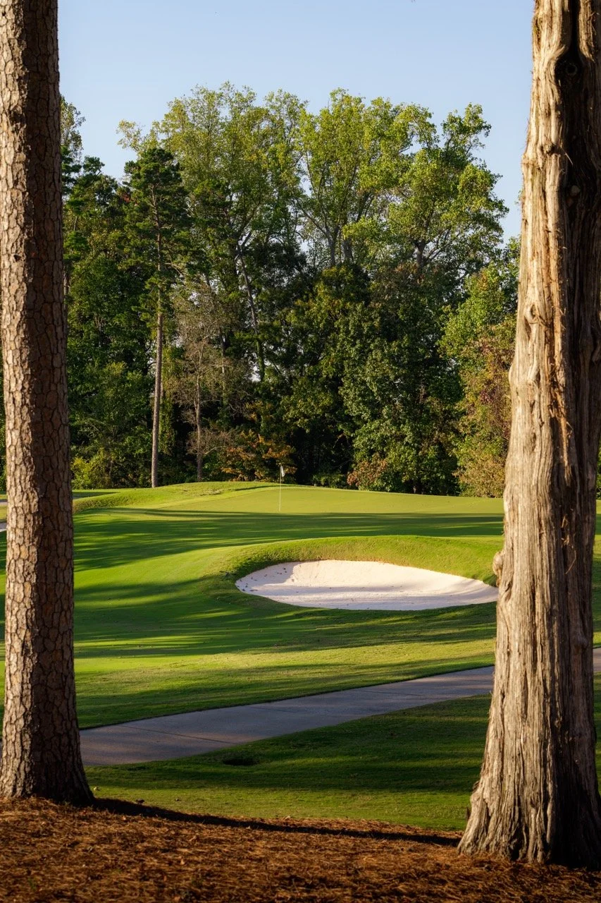 DSC06266-2 2 Large.jpeg