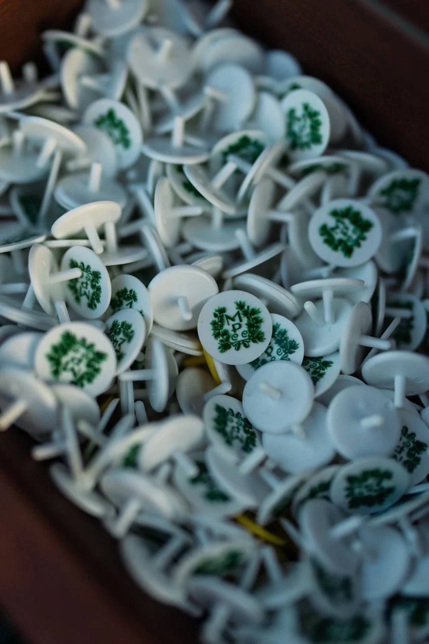 DSC02148 2 Large.jpeg