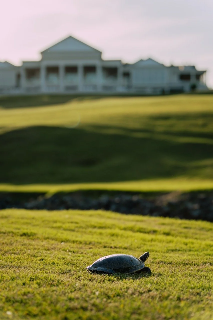 DSC02101 2 Large.jpeg