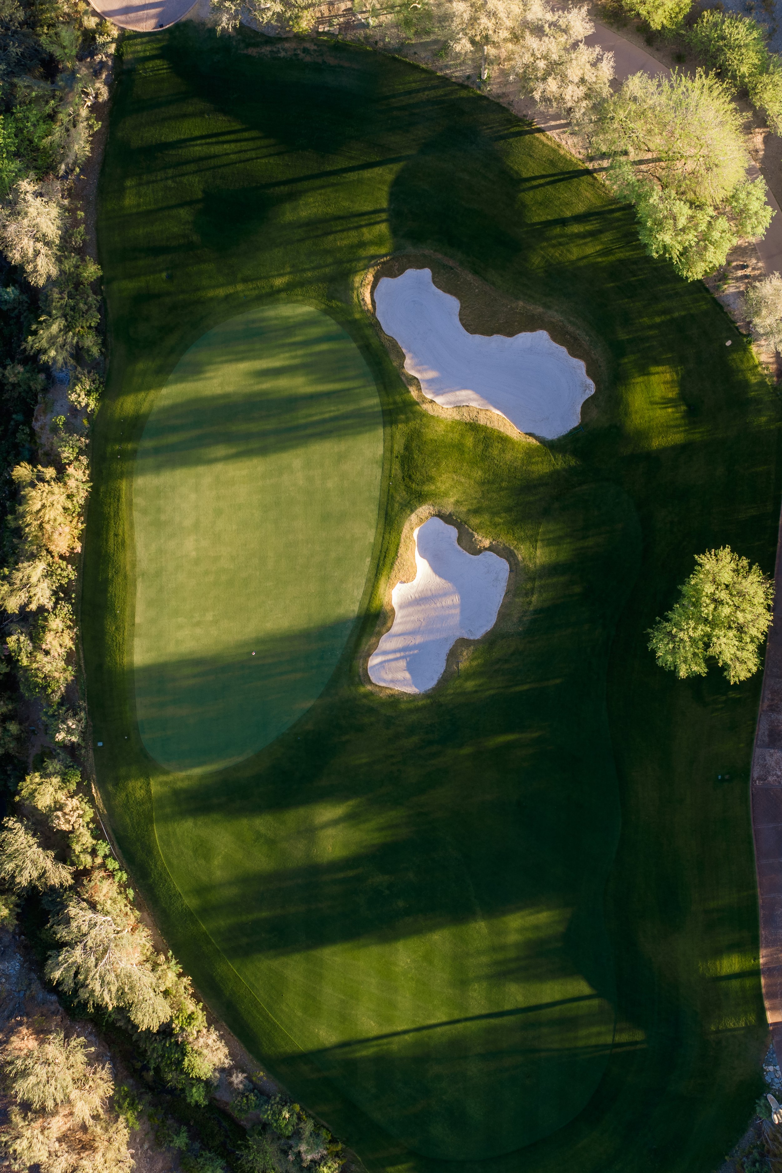 DJI_20260320101408_0238_D 2.JPG