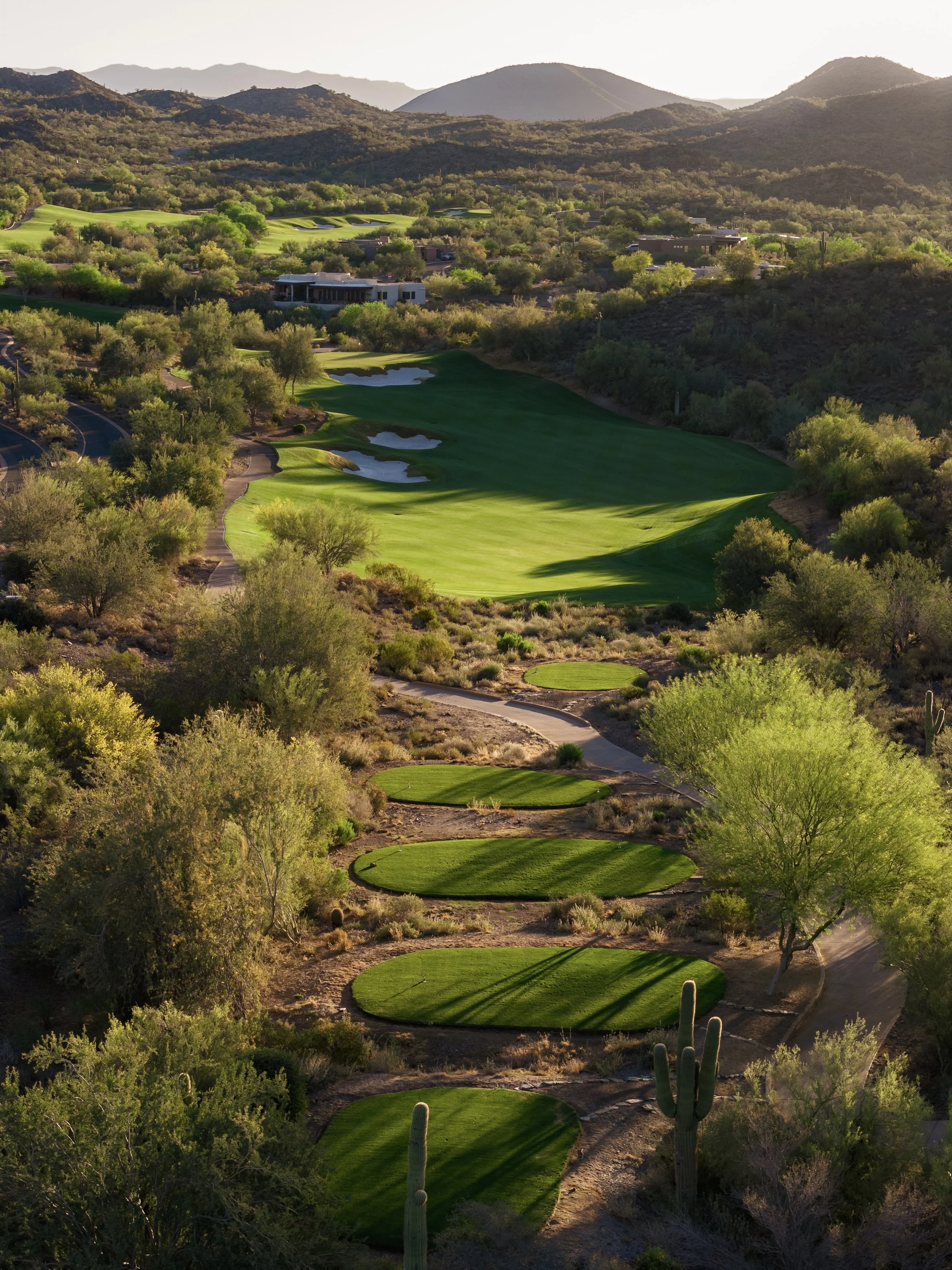 DJI_20260320100944_0235_D 2.jpg