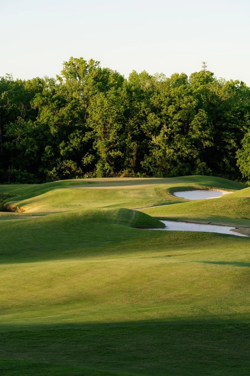 DSC02241 2 Large.jpeg