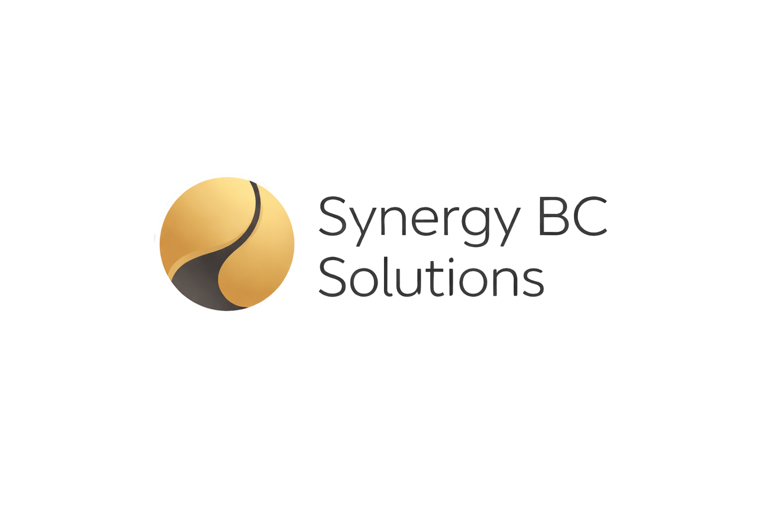 Synergy BC Solutions