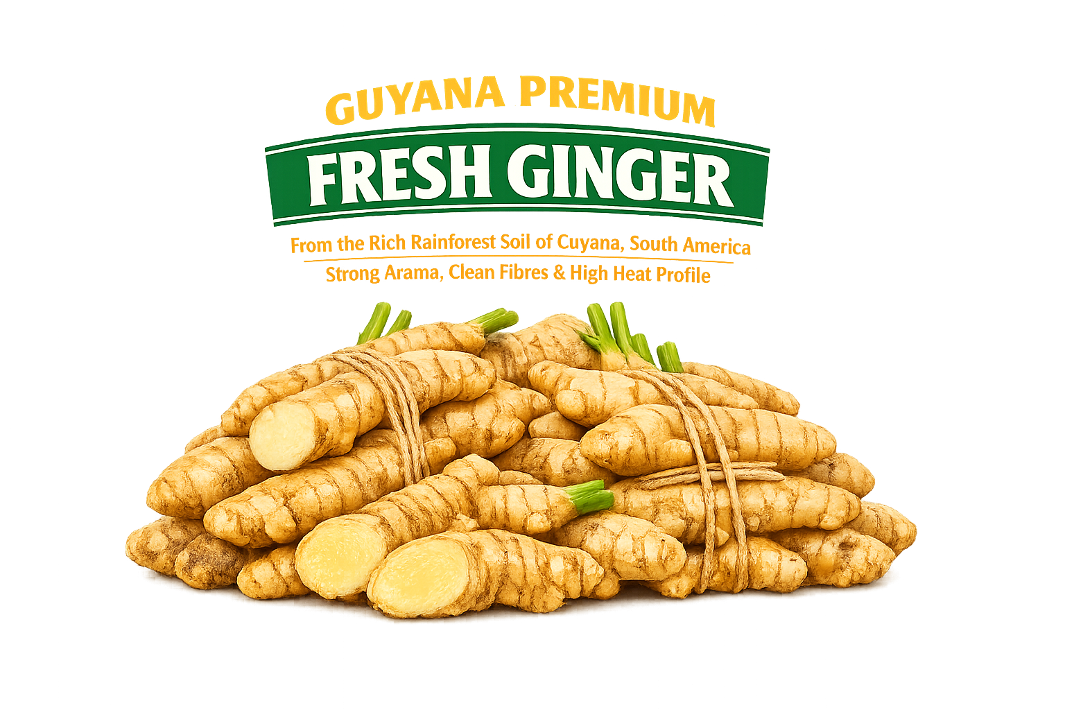 Bunch of fresh ginger roots tied with string in front of a bright green and yellow label that reads "Fresh Ginger" with additional text about Guyana Premium