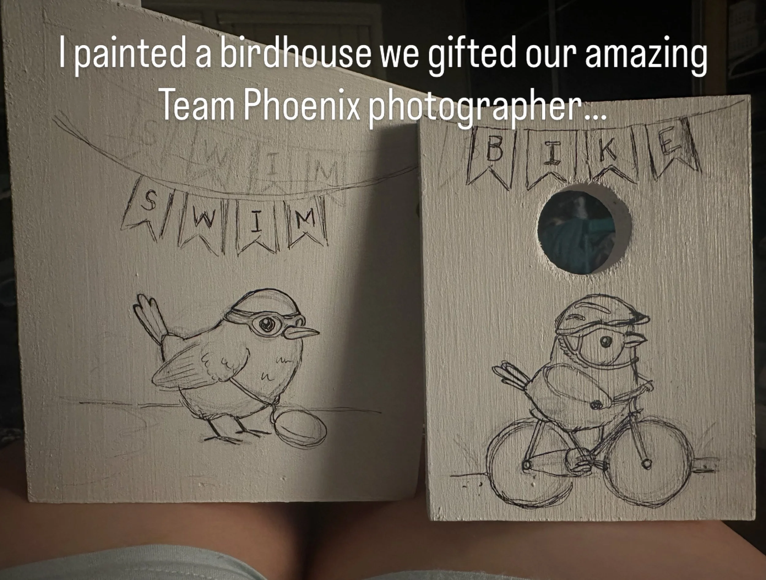 A fun project for a special person. #illustration #painting #birdhouse #triathlon #cancersurvivorship