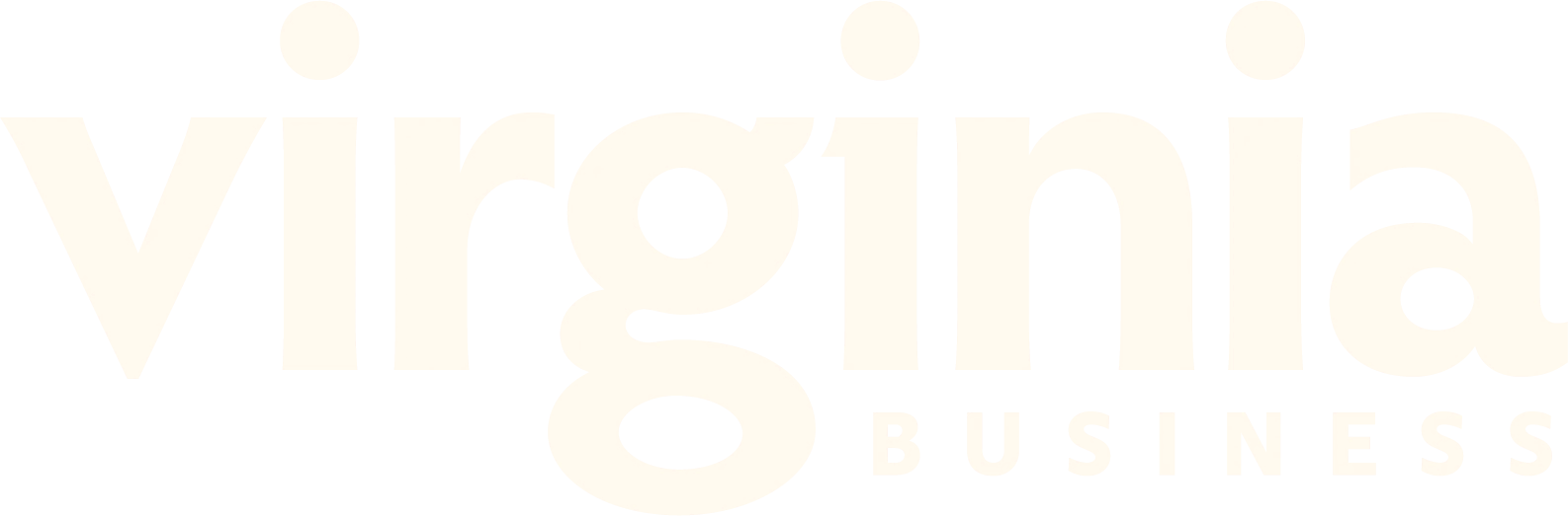 The logo for Virginia Business magazine, featuring the words 'Virginia' in large font and 'Business' in smaller font below.