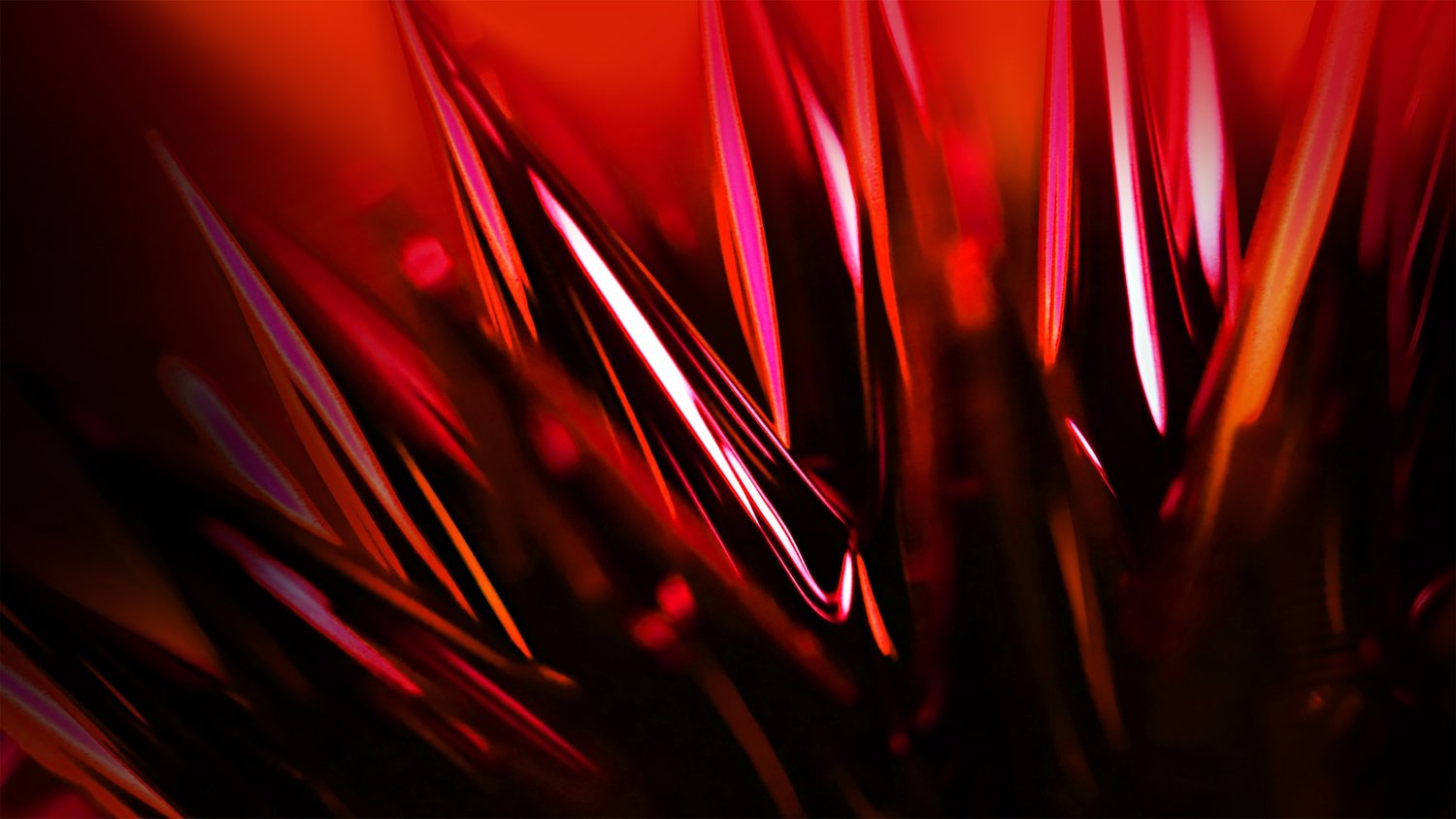 Feldman Elite Cleaning LLC