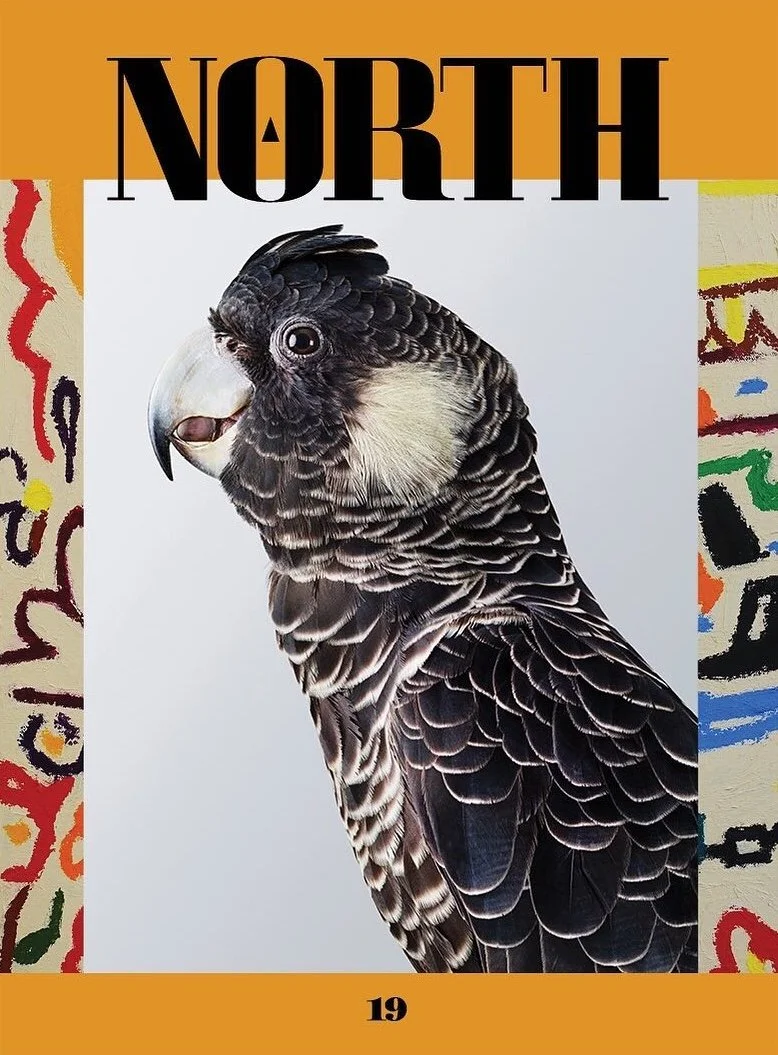 The front cover of an Australian art and culture magazine called North Journal
