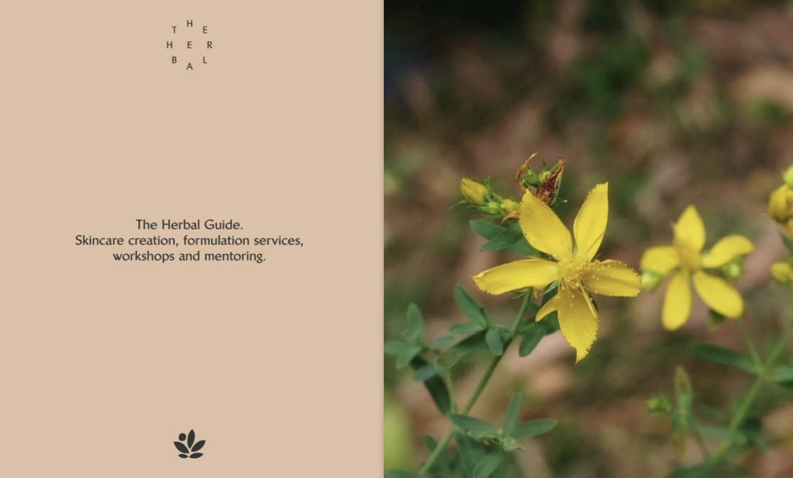 A Lifestyle magazine cover titled "The Herb Al" with a subtitle "The Herbal Guide. Skincare creation, formulation services, workshop and mentoring." next to a close-up photograph of yellow herbs with a small insect on one of the flowers.