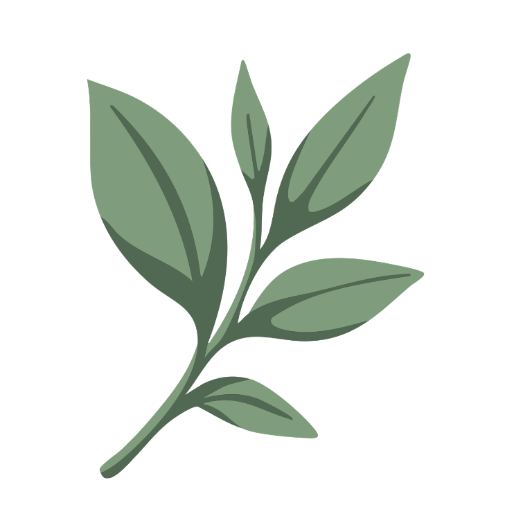 Illustration of a green leafy branch with several leaves of different sizes.