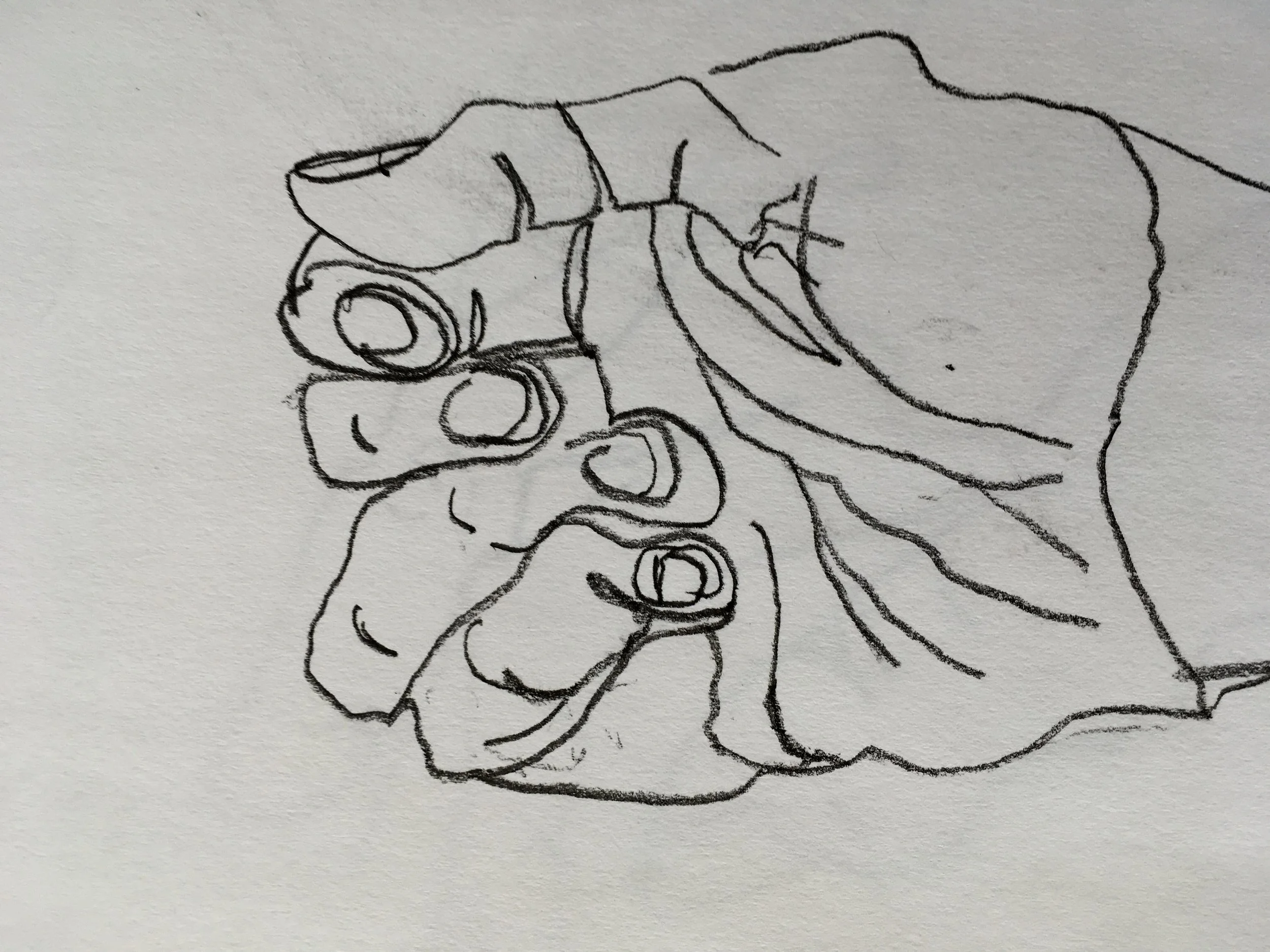 A Year in Drawing and Painting