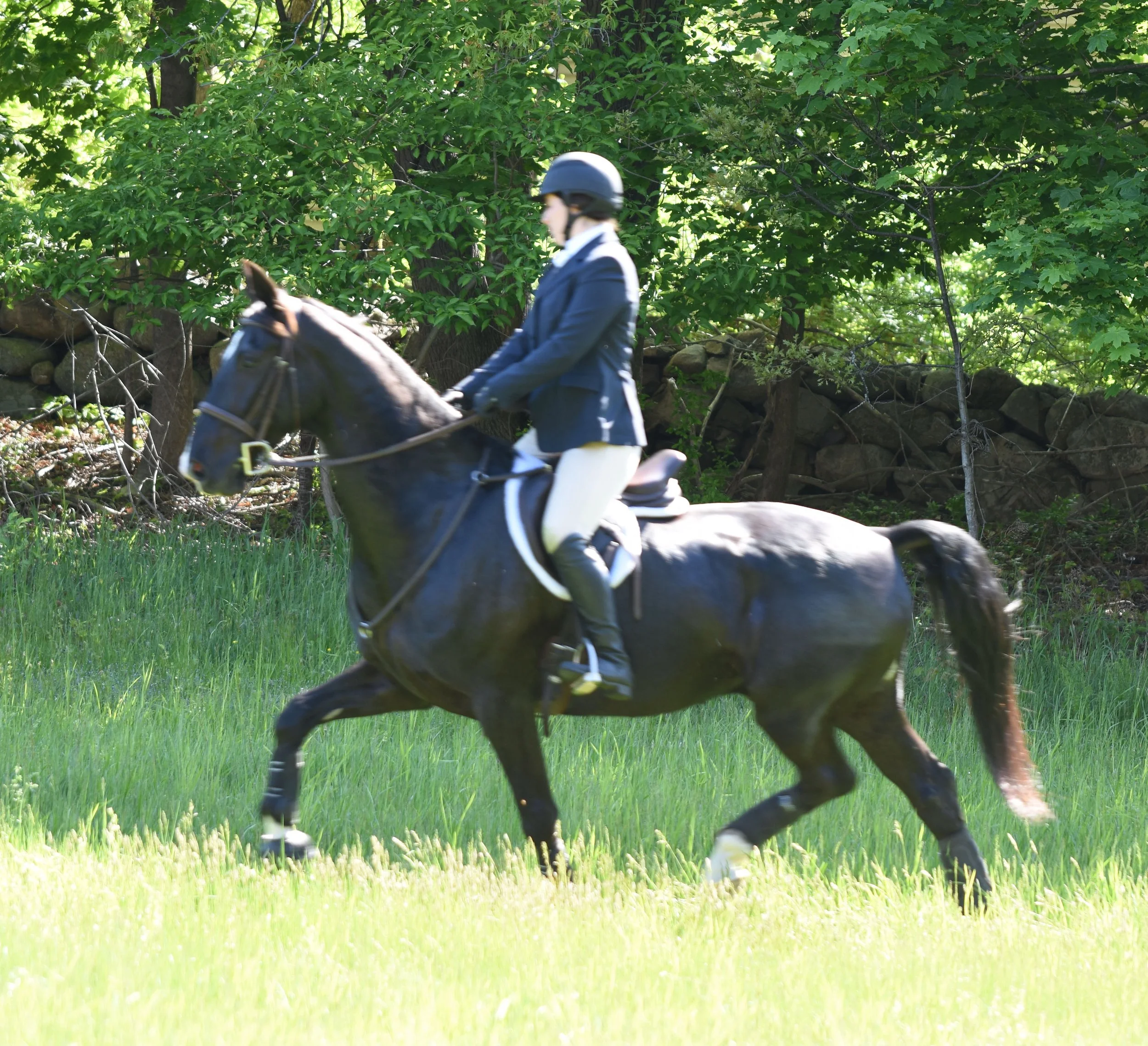 Learning, Thinking, and Feeling