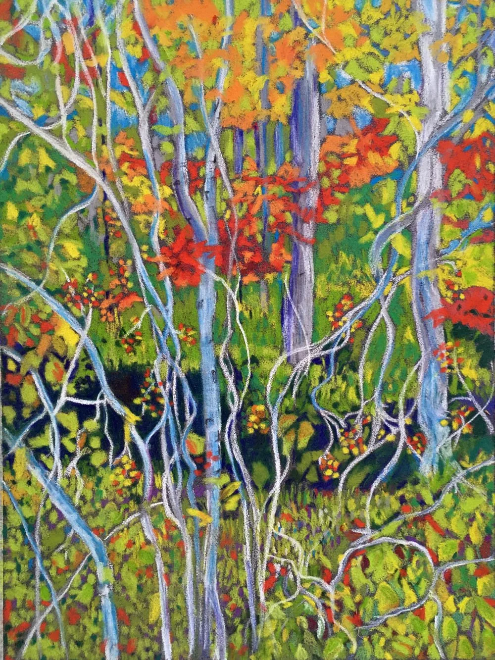 Coyote Alley Autumn Color.jpg