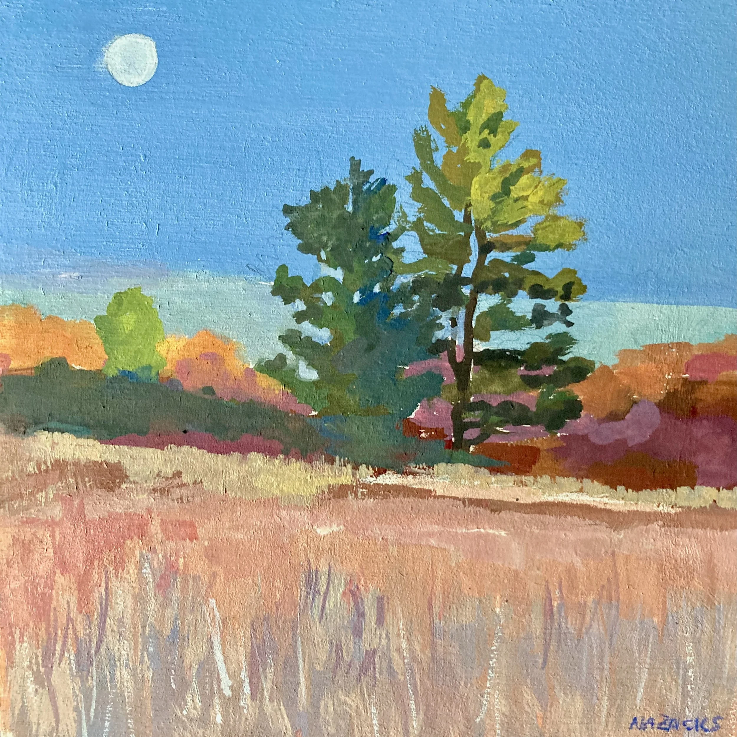 Medfield Mini Painting - The White Pine