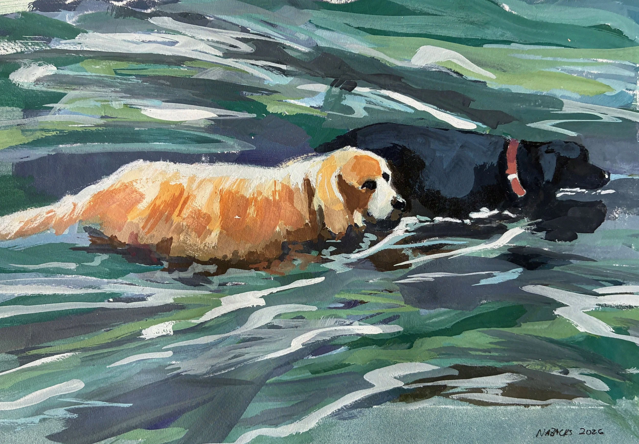 Water dogs 2026.jpeg