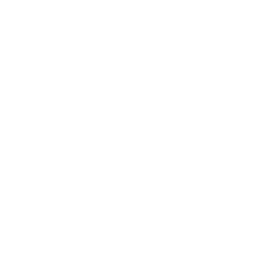 Icono de una cámara de vigilancia o seguridad con un ojo.