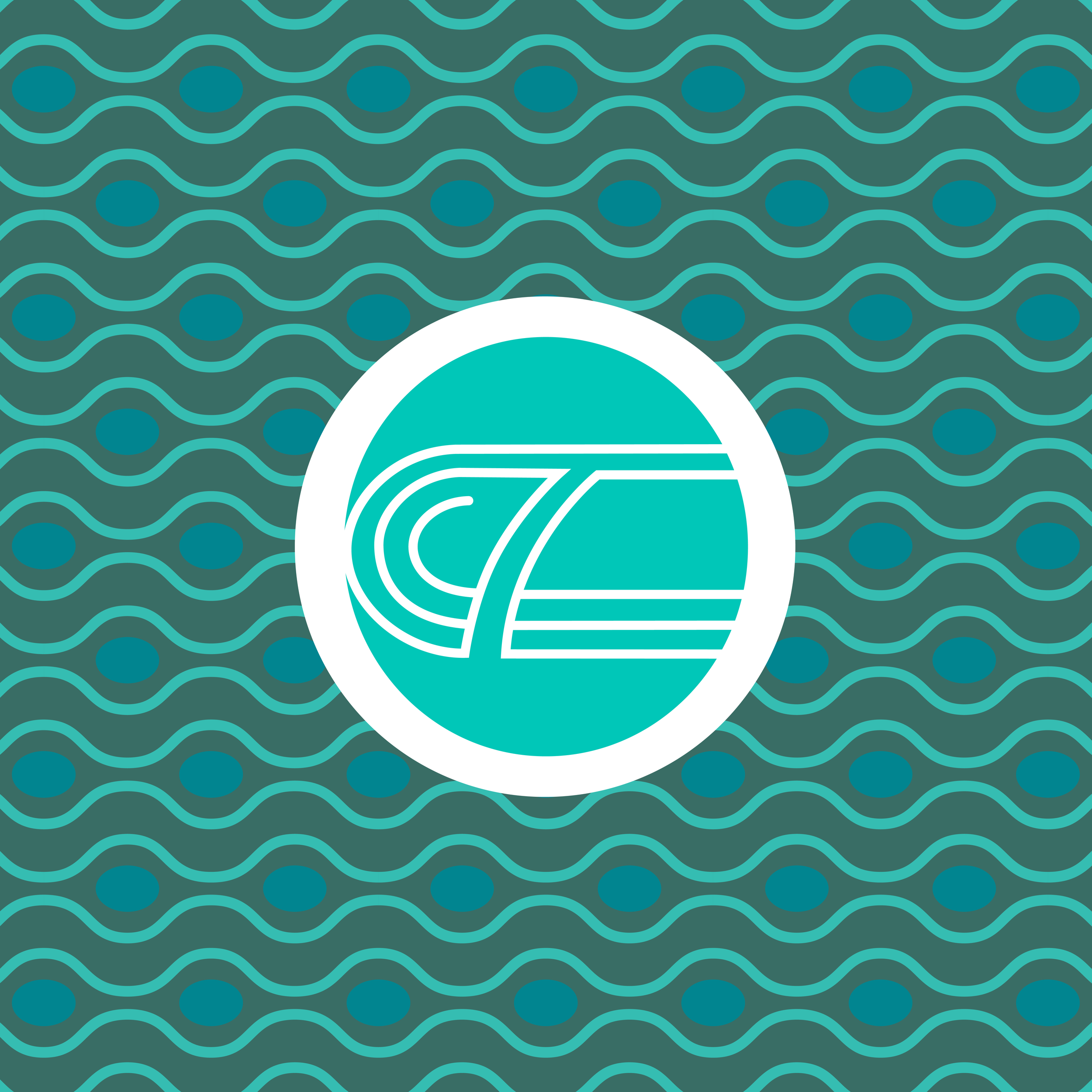 Tsunami Rebrand