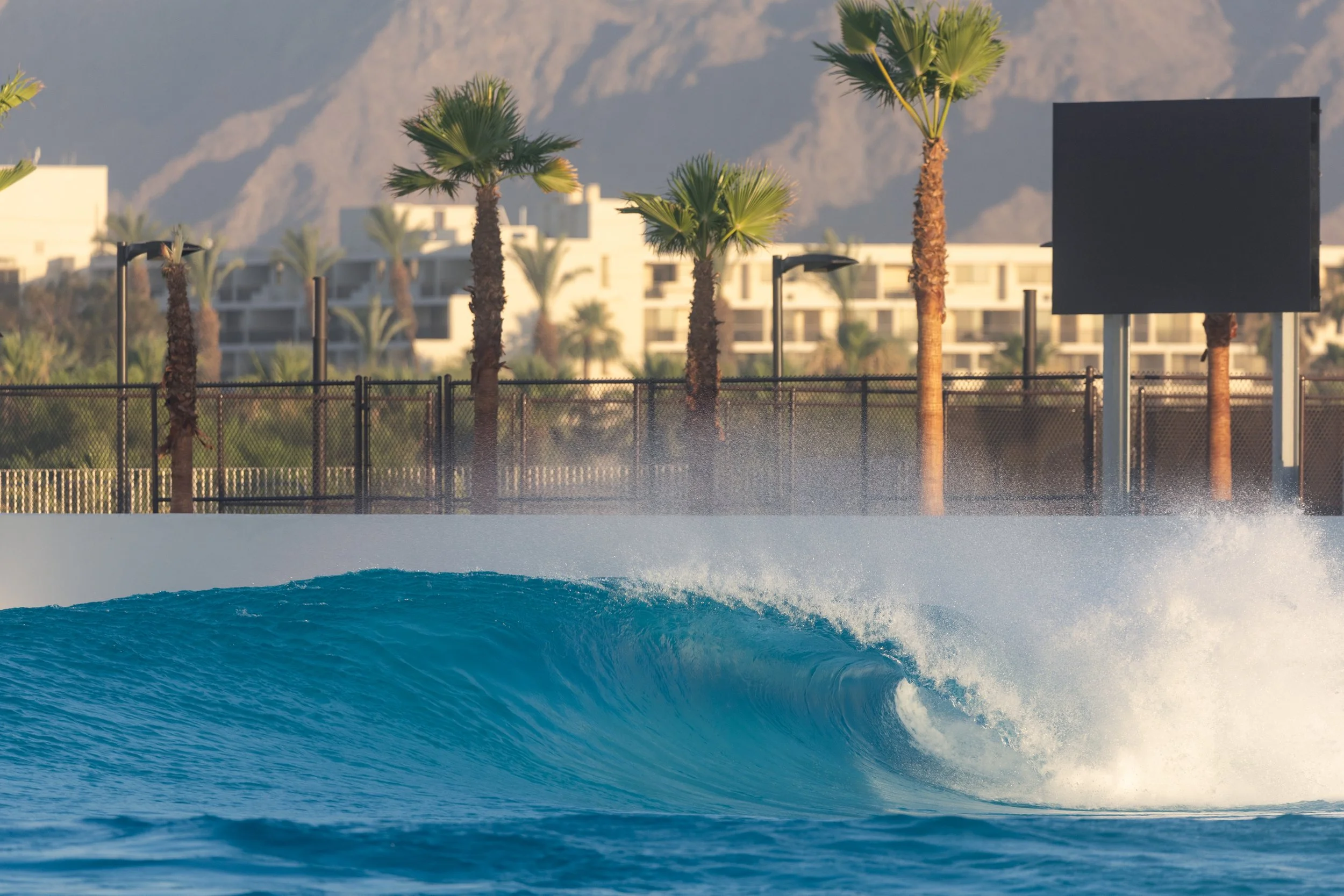 A large outdoor swimming pool with bright blue water, surrounded by a black fence. In the background, there are tall palm trees, modern white buildings, and mountain scenery.
