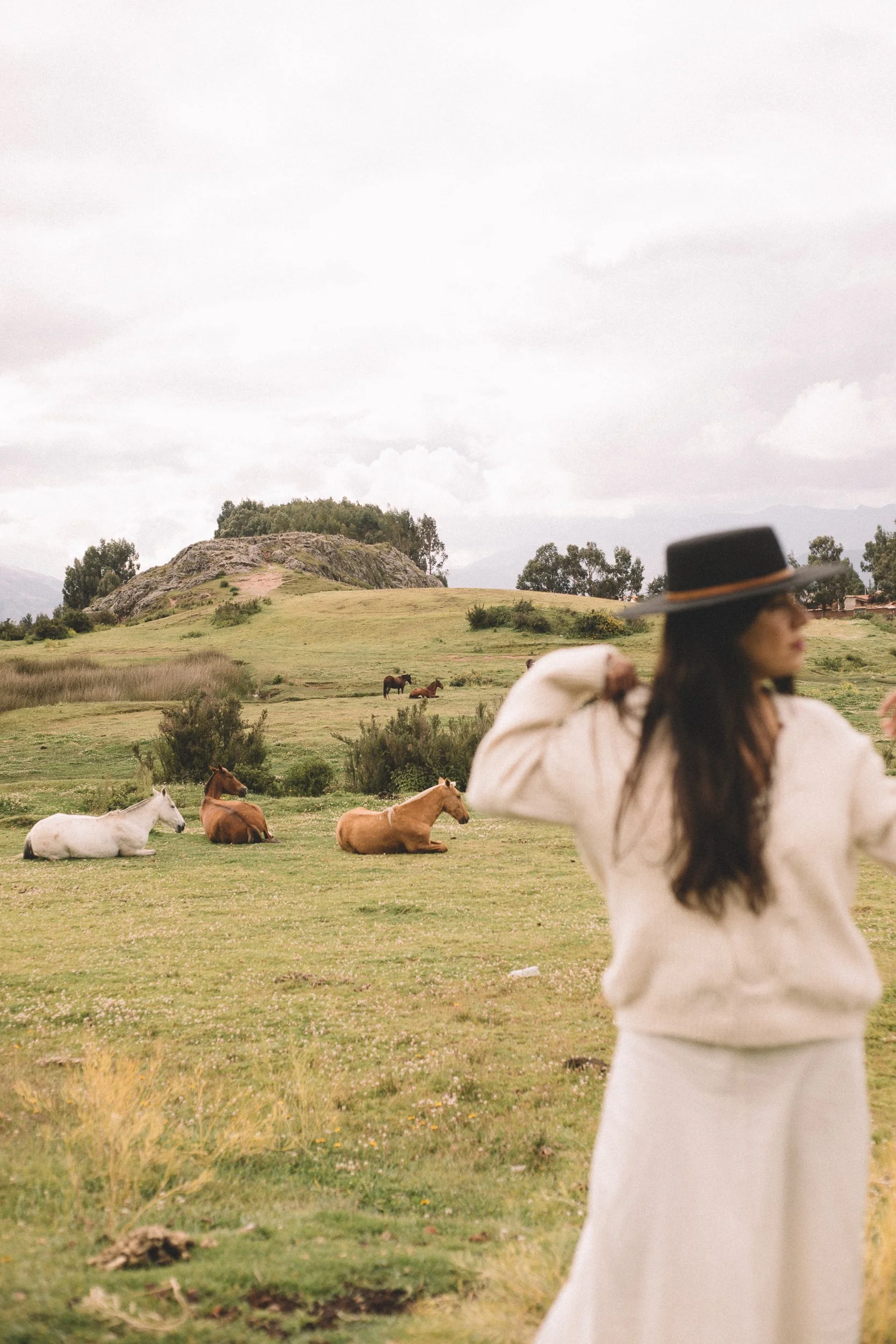Mujer con sombrero de ala ancha y ropa clara de pie en un campo con caballos acostados bajo cielo nublado, transmitiendo calma, sensibilidad y liderazgo invitando a agendar una llamada.