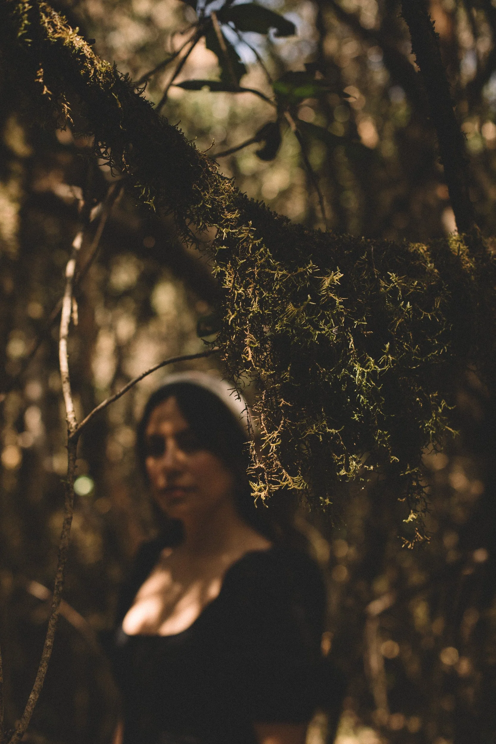 Mujer con cabello oscuro y vestido negro en un bosque con ramas y musgo en primer plano y luz tenue de fondo, evocando experiencias personalizadas de bienestar y conexión con la naturaleza.