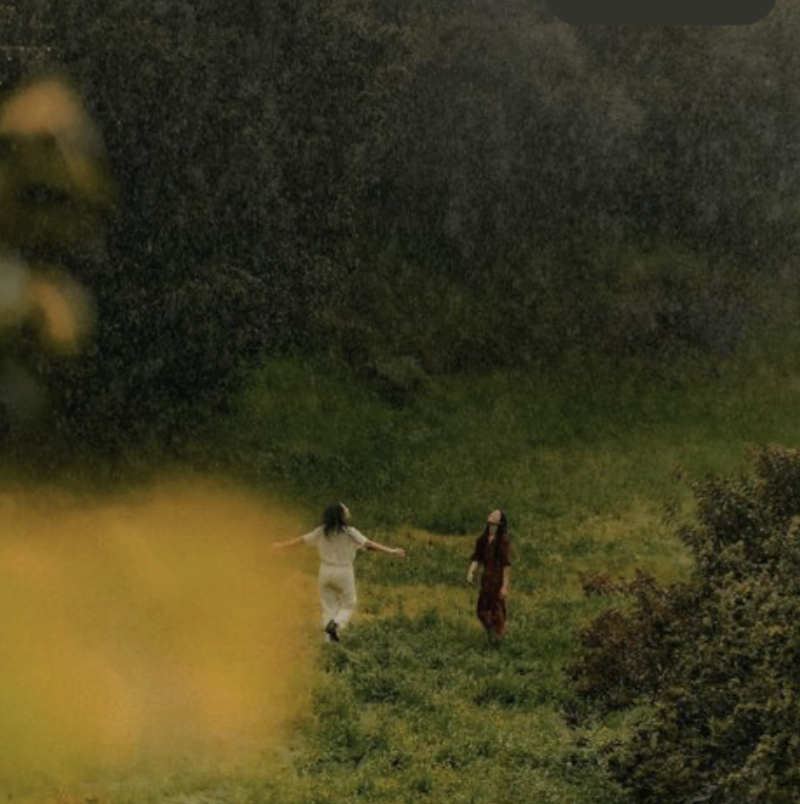 Dos personas caminando bajo la lluvia en un campo verde, rodeadas de árboles y vegetación, en un paisaje natural al atardecer.