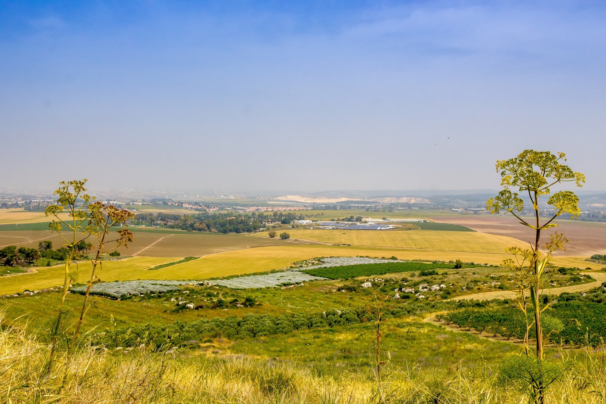 A scenic view of rolling farmland with patches of green and yellow fields, some trees, and a clear blue sky in the background.