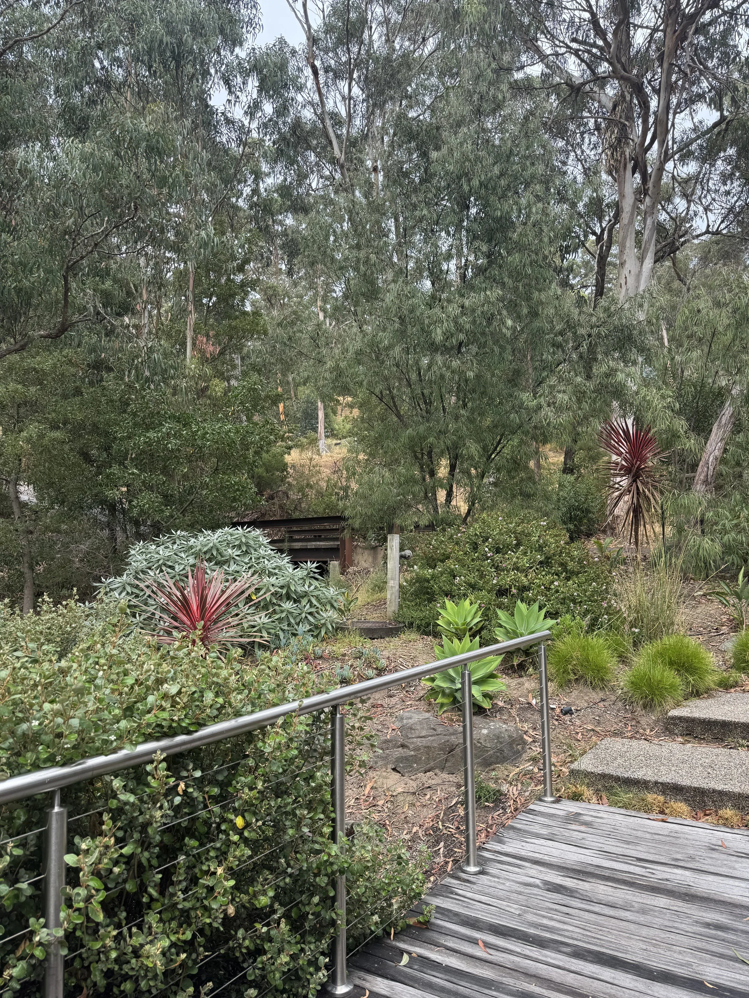 A garden with variety of plants, trees, and shrubs near a wooden pathway with railings.