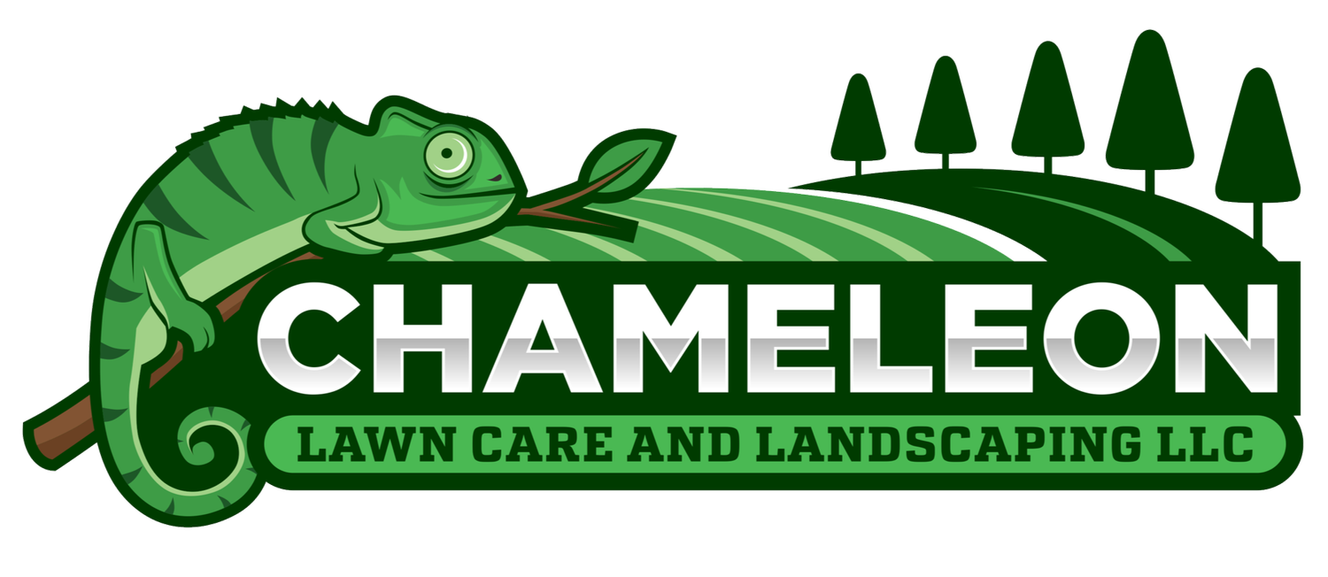 Chameleon Lawn Care LLC