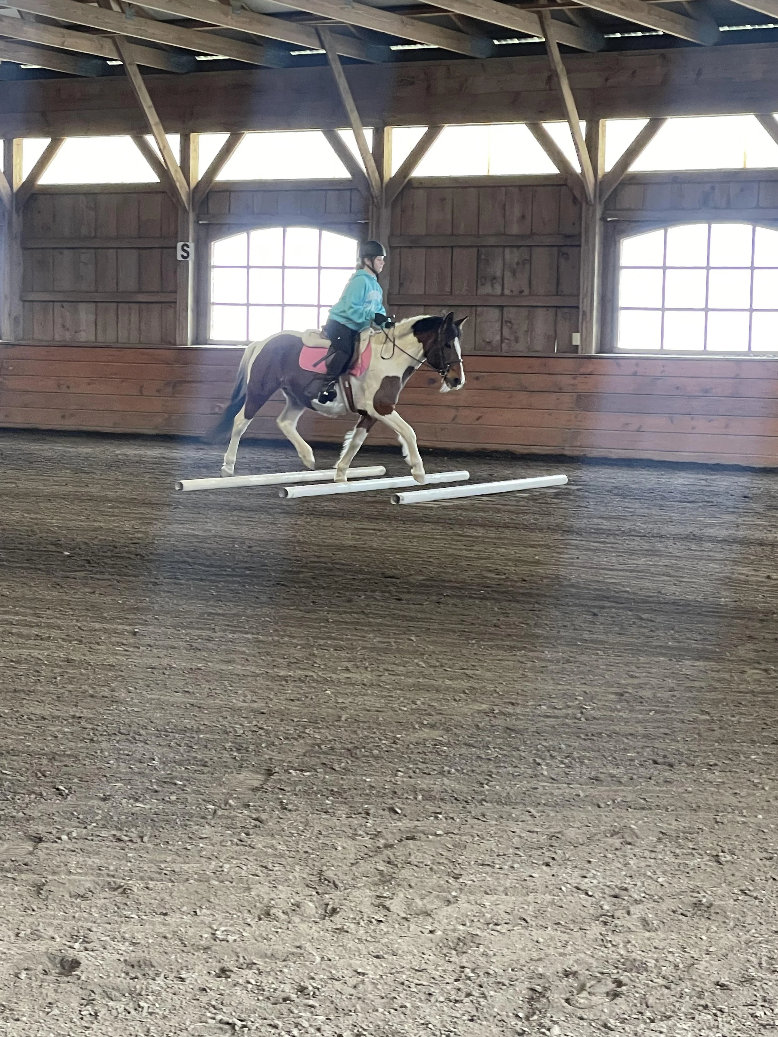 Robyn's Nest Farm