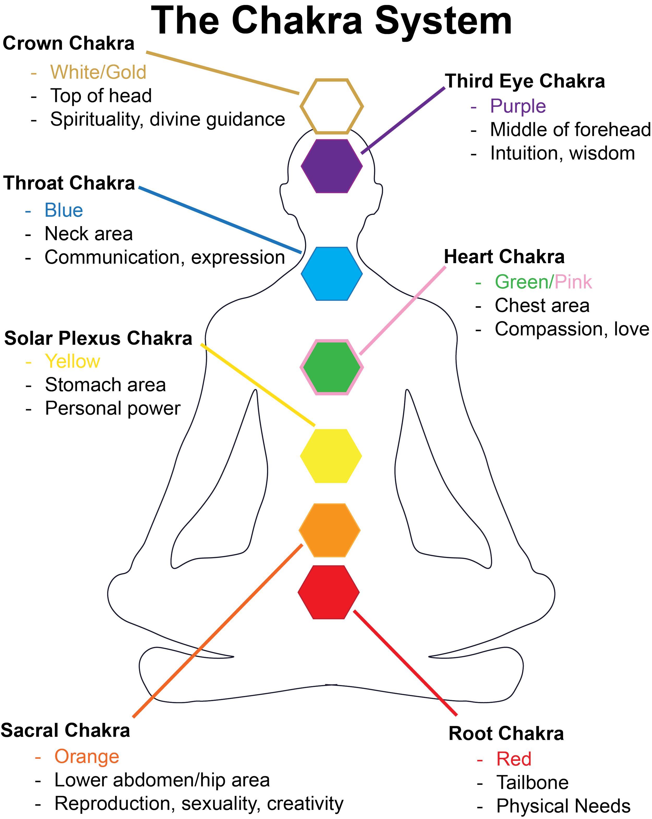 The Chakra System