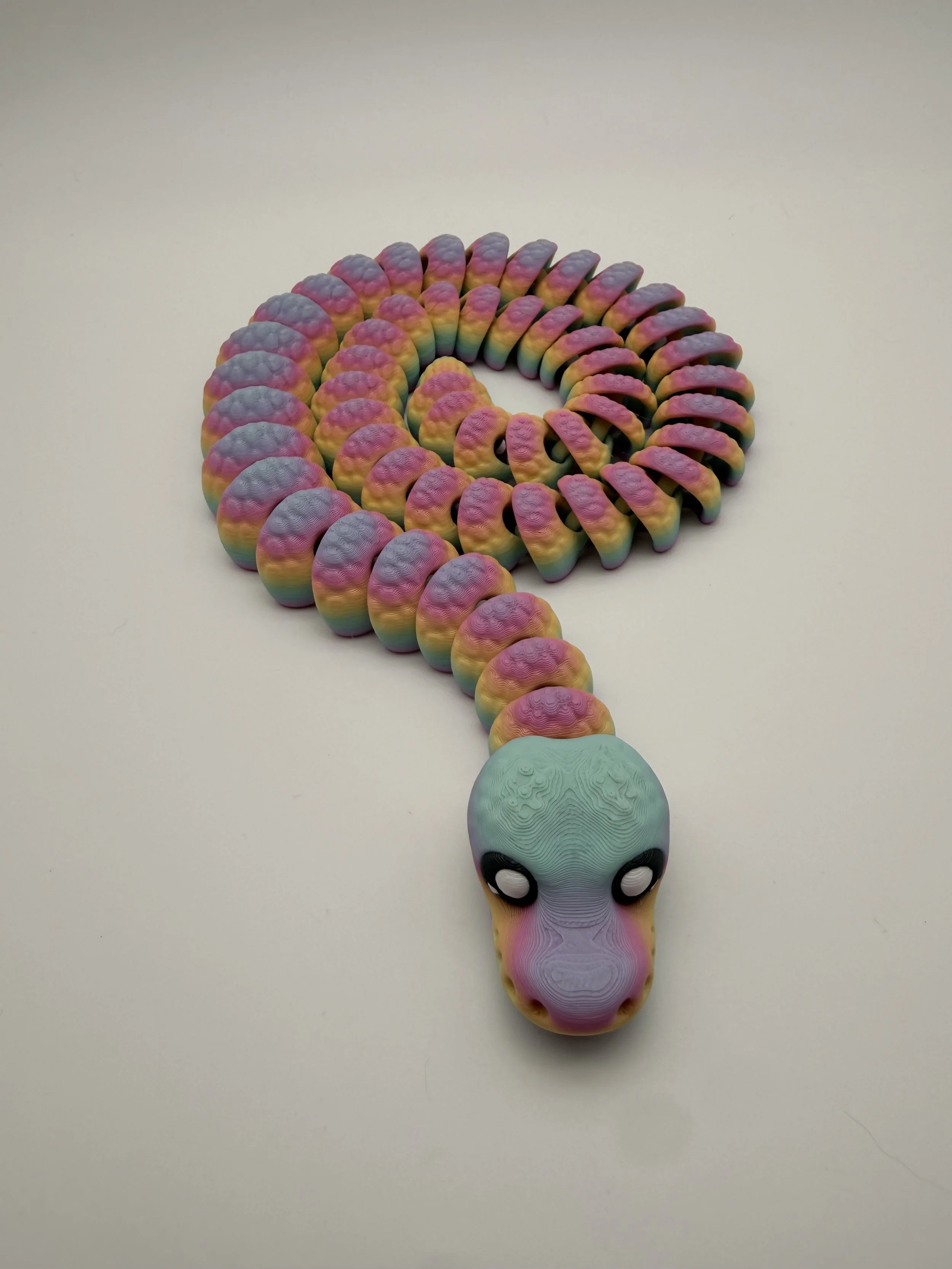Rainbow Flexi Snake 🌈🐍