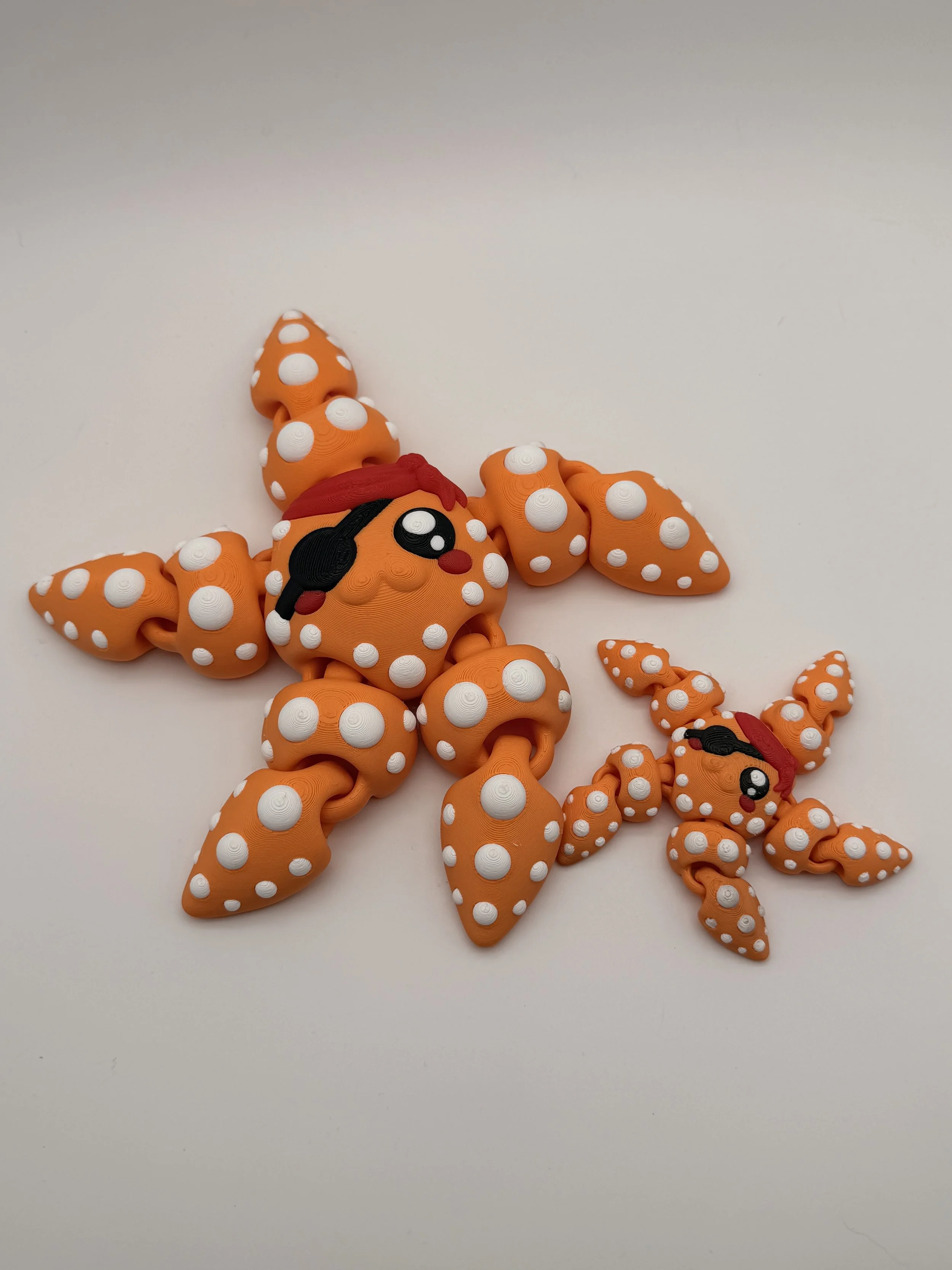 Pirate Starfish