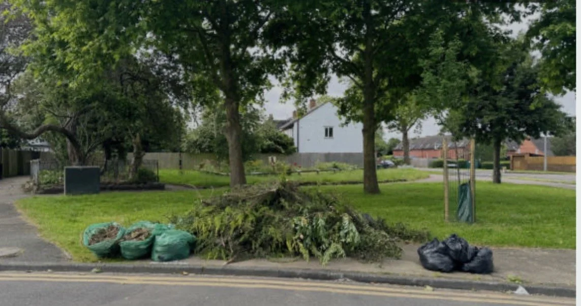 Yard Waste Removal