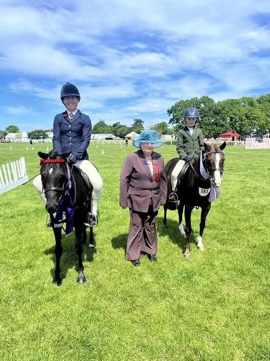 Champion and Reserve Champion Novice Show Pony not exceeding 128cm.
N Waddell riding Phoenician Clover
Blake Ormandy riding Ashton Eye Candy