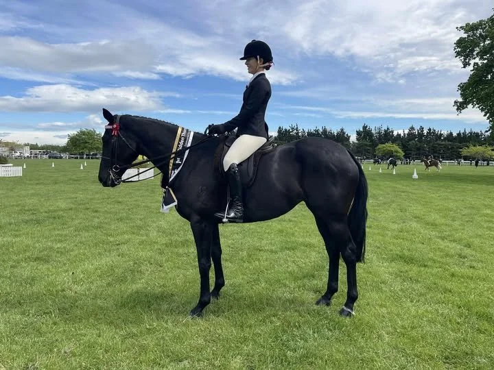 Winner of the Ridden Thoroughbred class as part of the NZTR TB A&P Show Series
Sponsored byLOVERACING.NZ
Was Papavero, a 5yr old mare, Puccini x Pammukale, owned by Mandy Chesmar and ridden by Kate Chamberlain